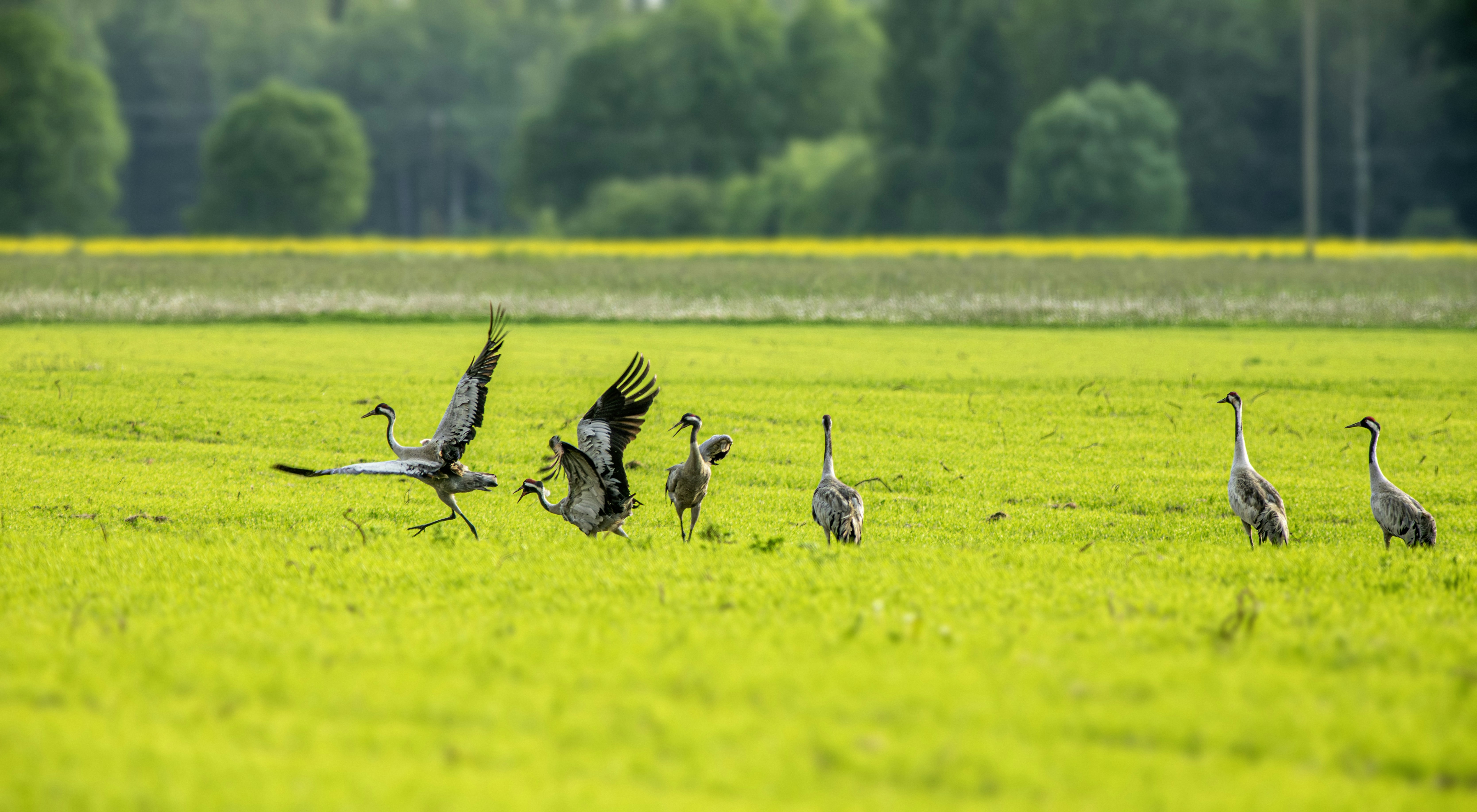 Photo by erik_karits