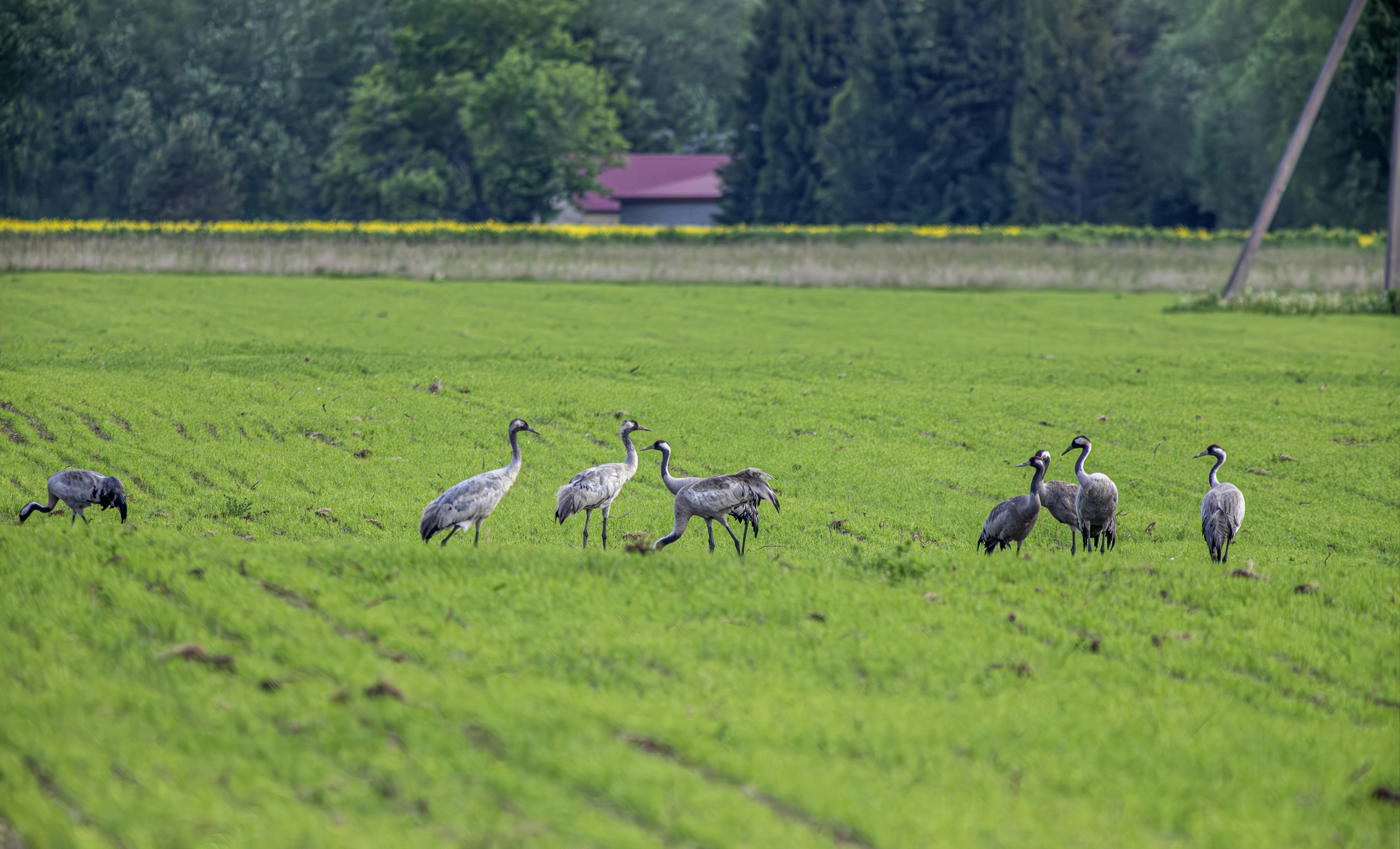 Photo by erik_karits