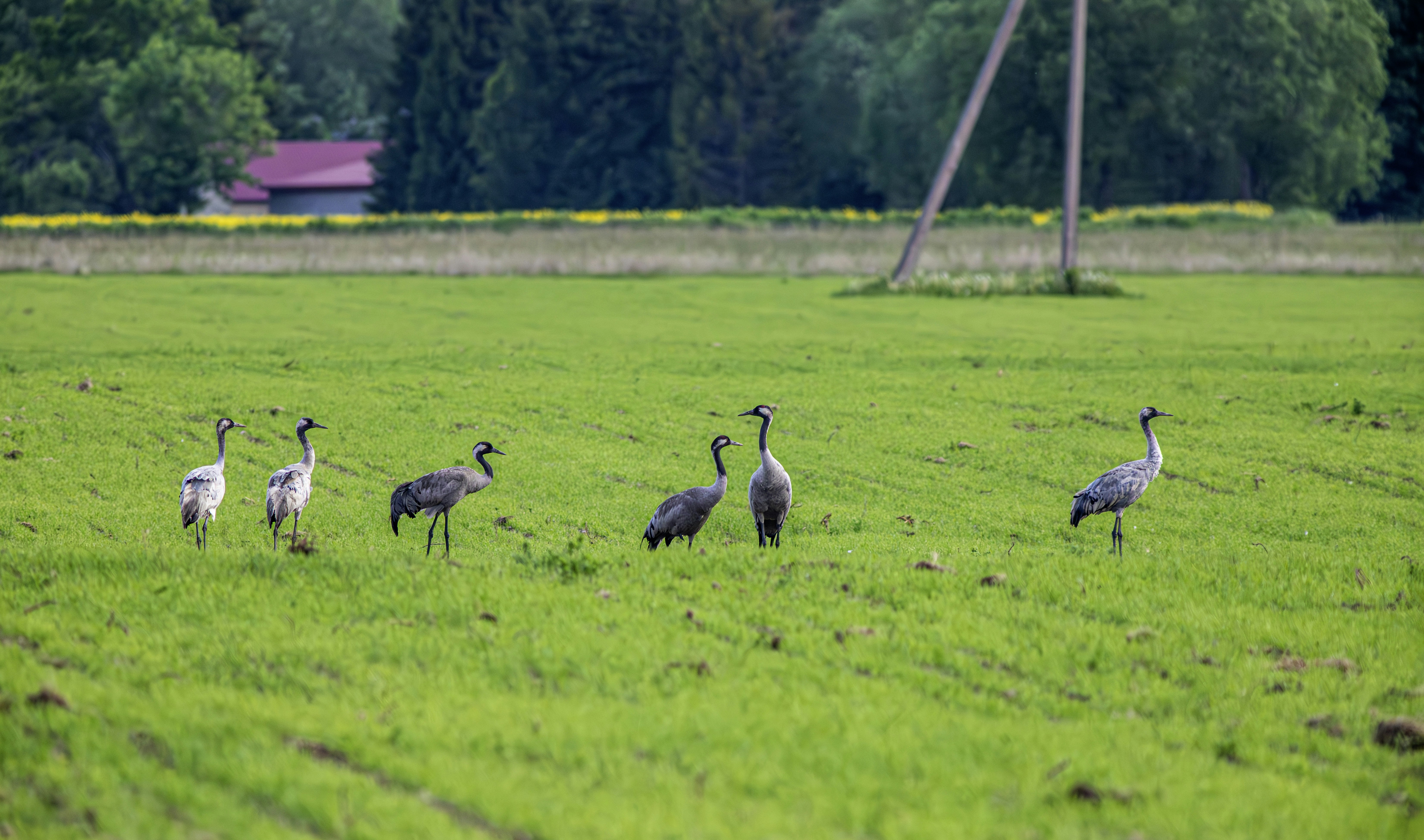 Photo by erik_karits