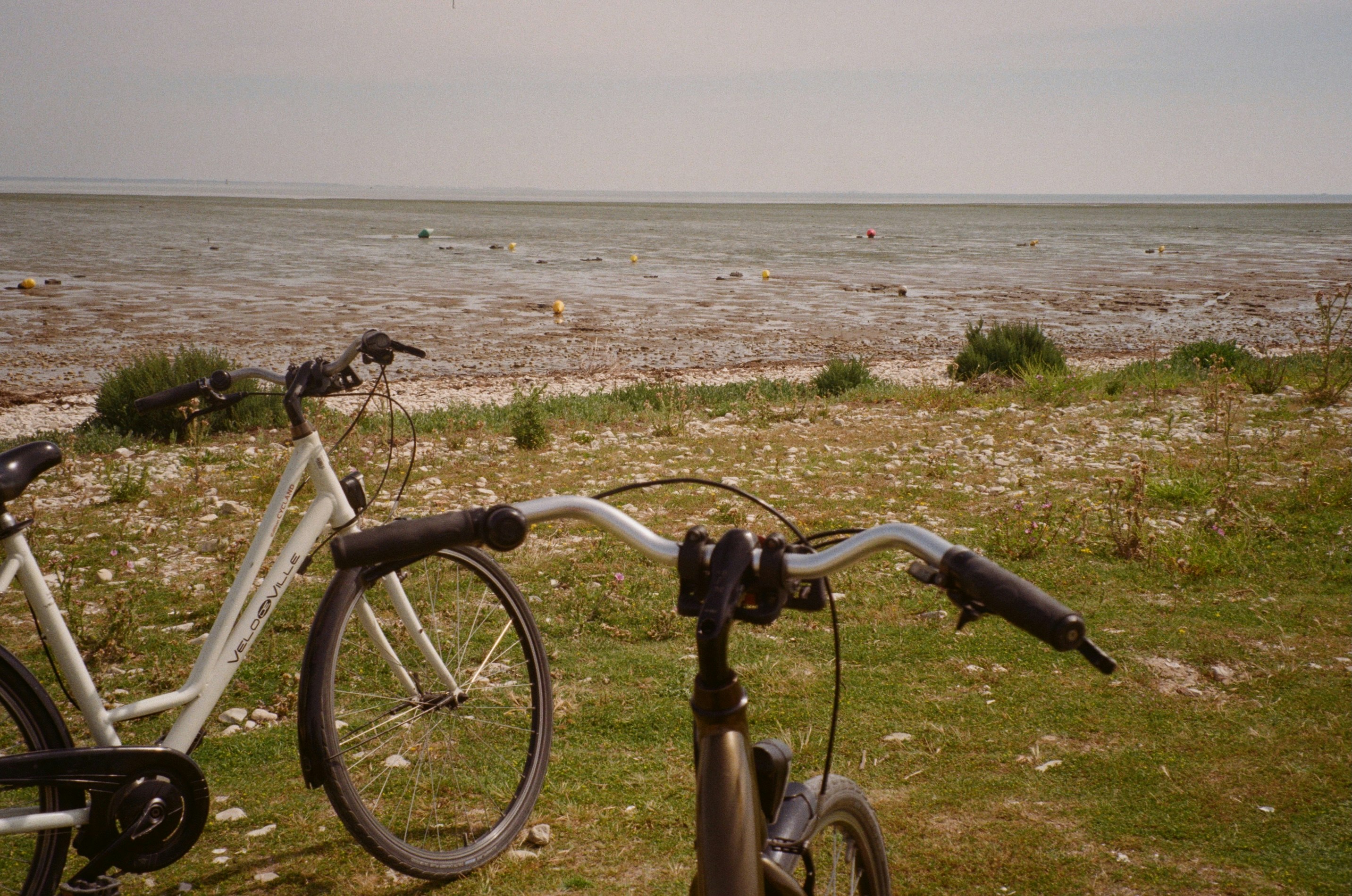 Bikes are parked near the water.