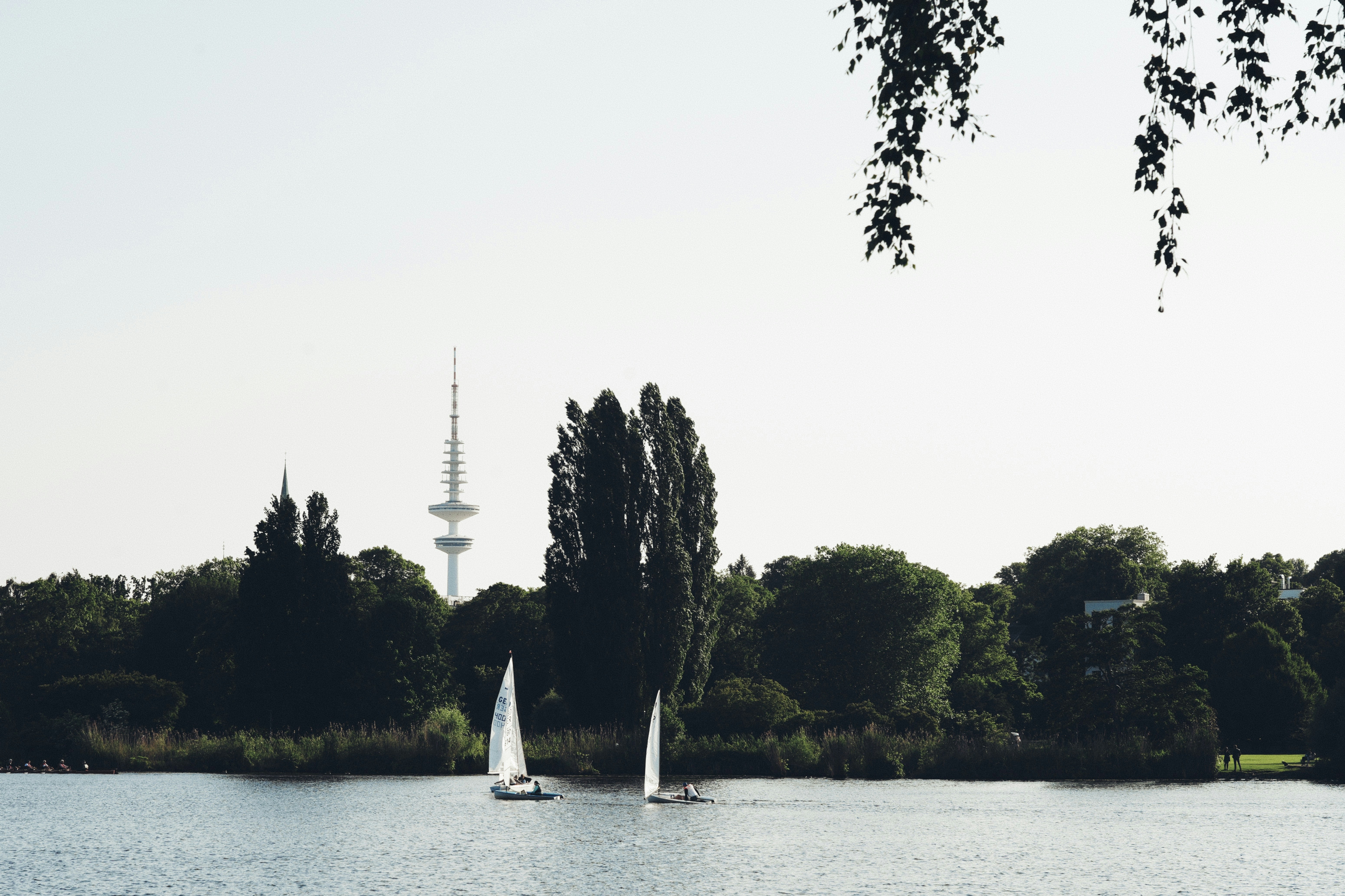 Ein veröffentlichtes Foto