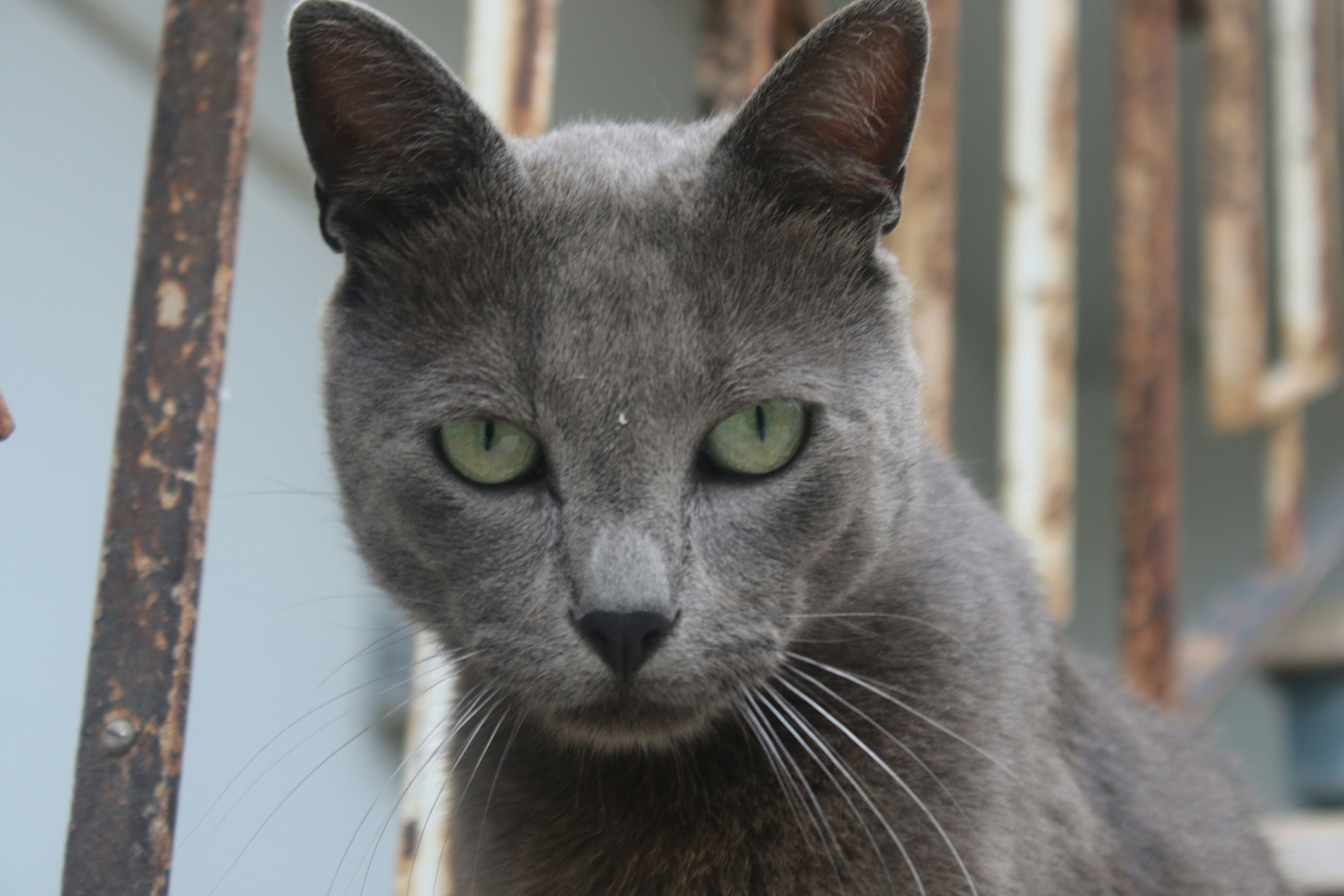 Photo by andreiacunha