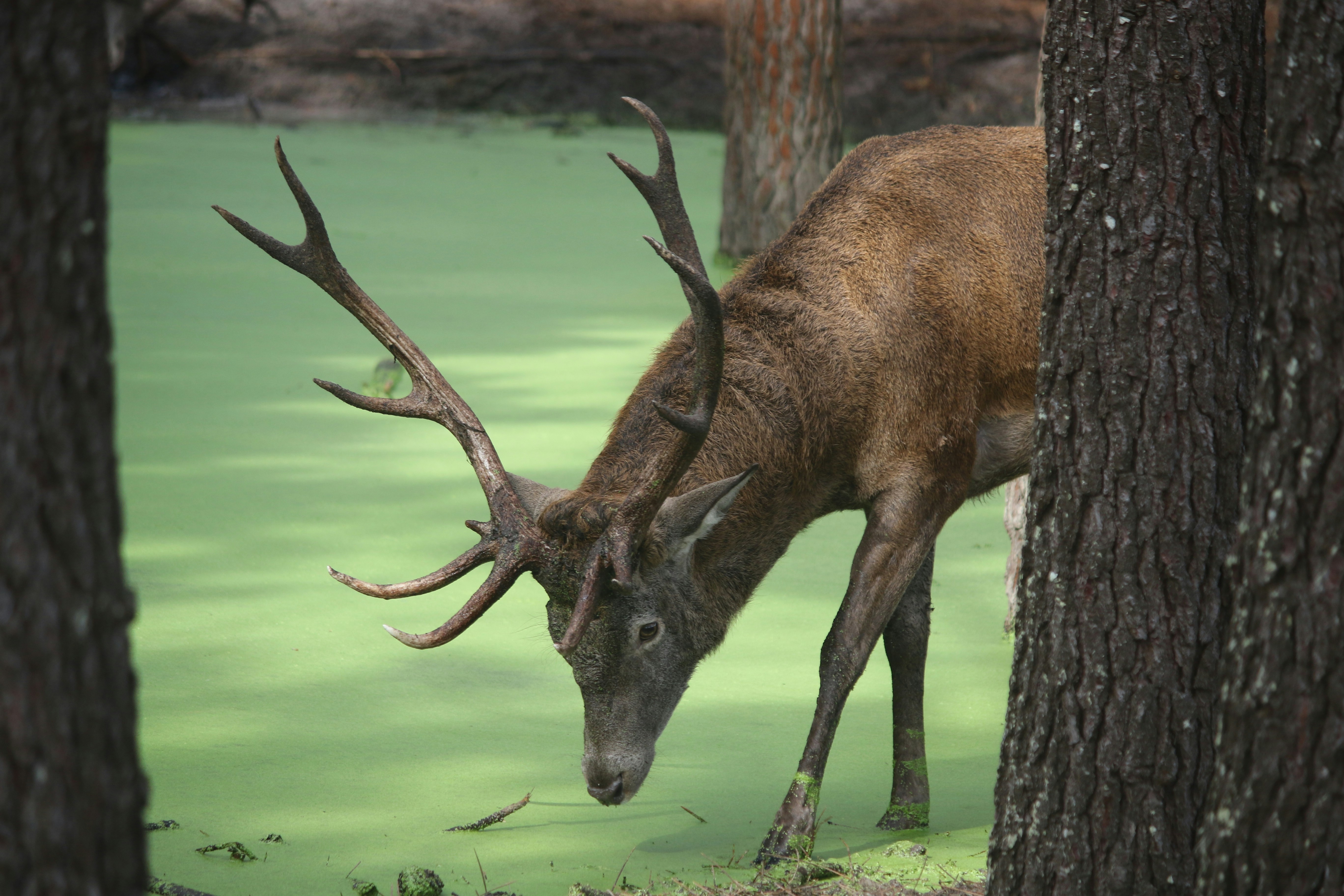 Photo by andreiacunha