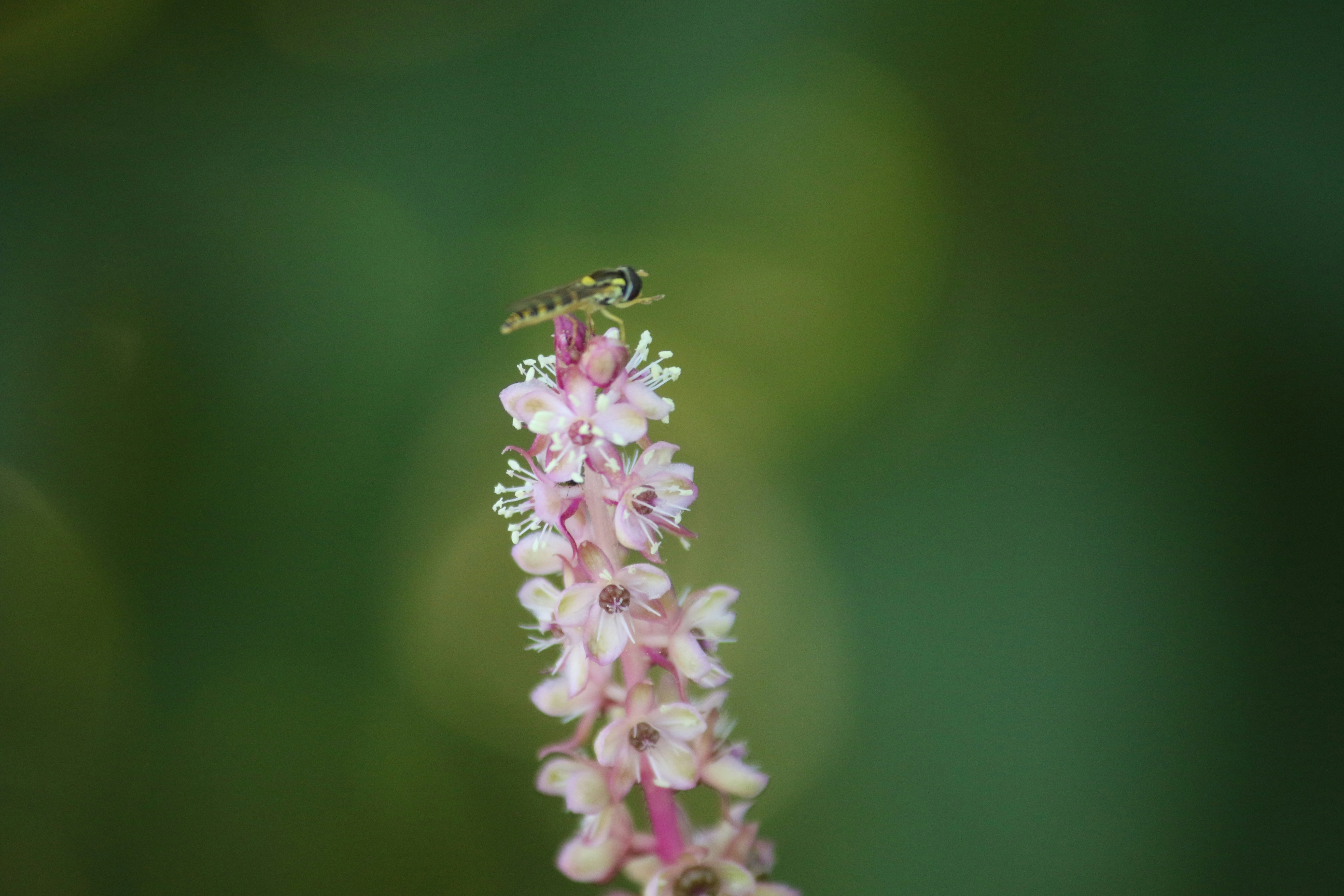 Photo by andreiacunha