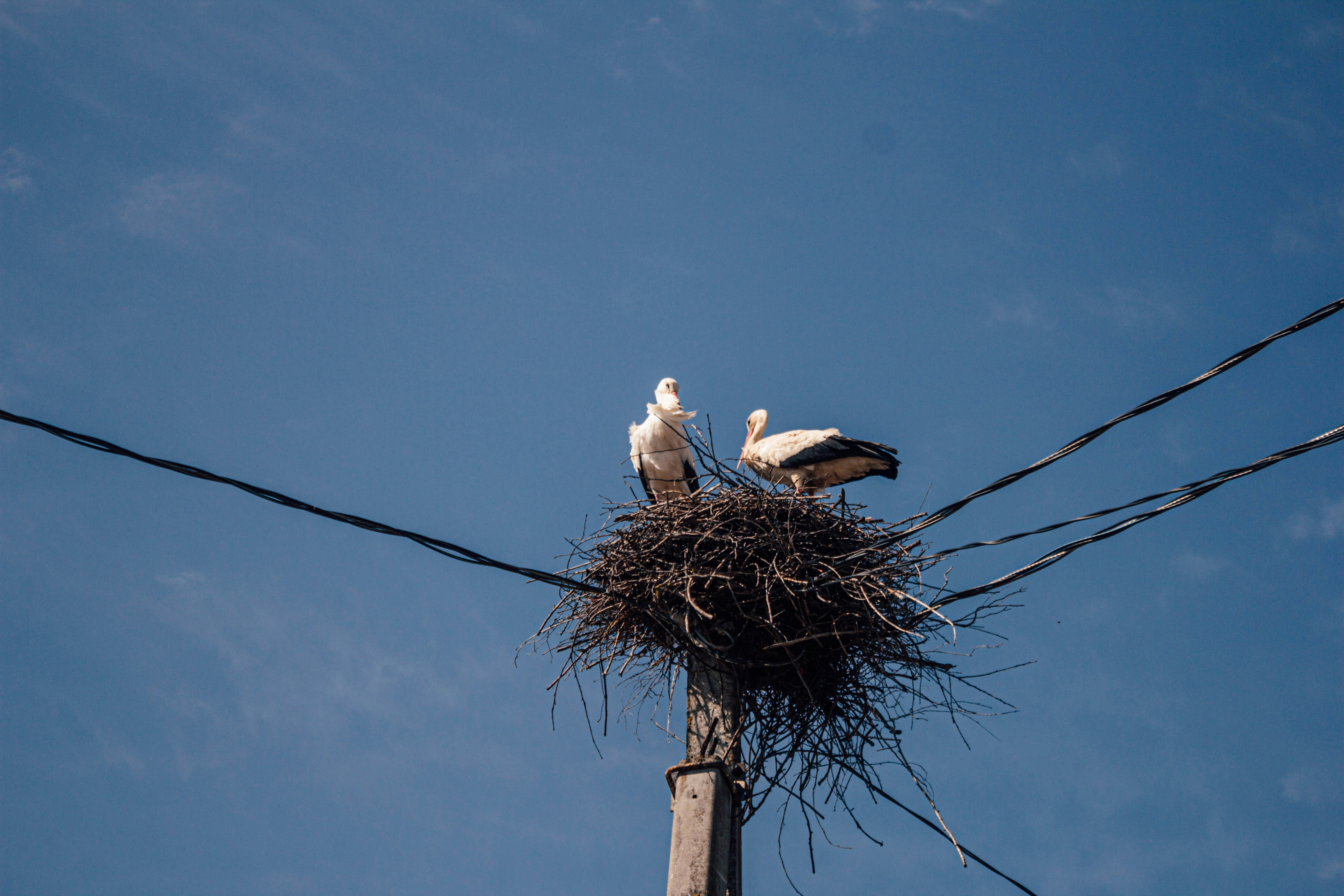 Professionals networking at a corporate event.