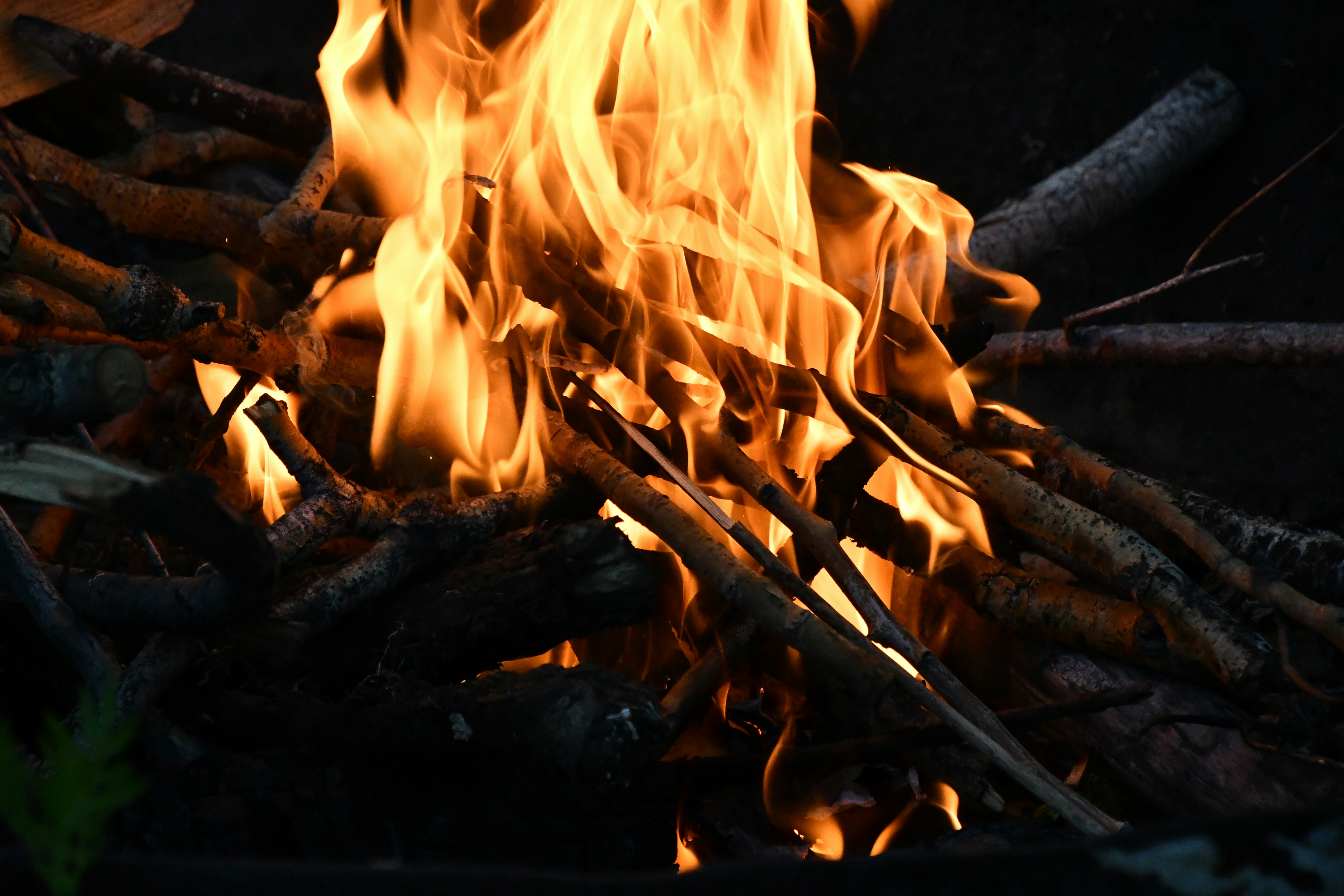 Photo by tory_hoffman