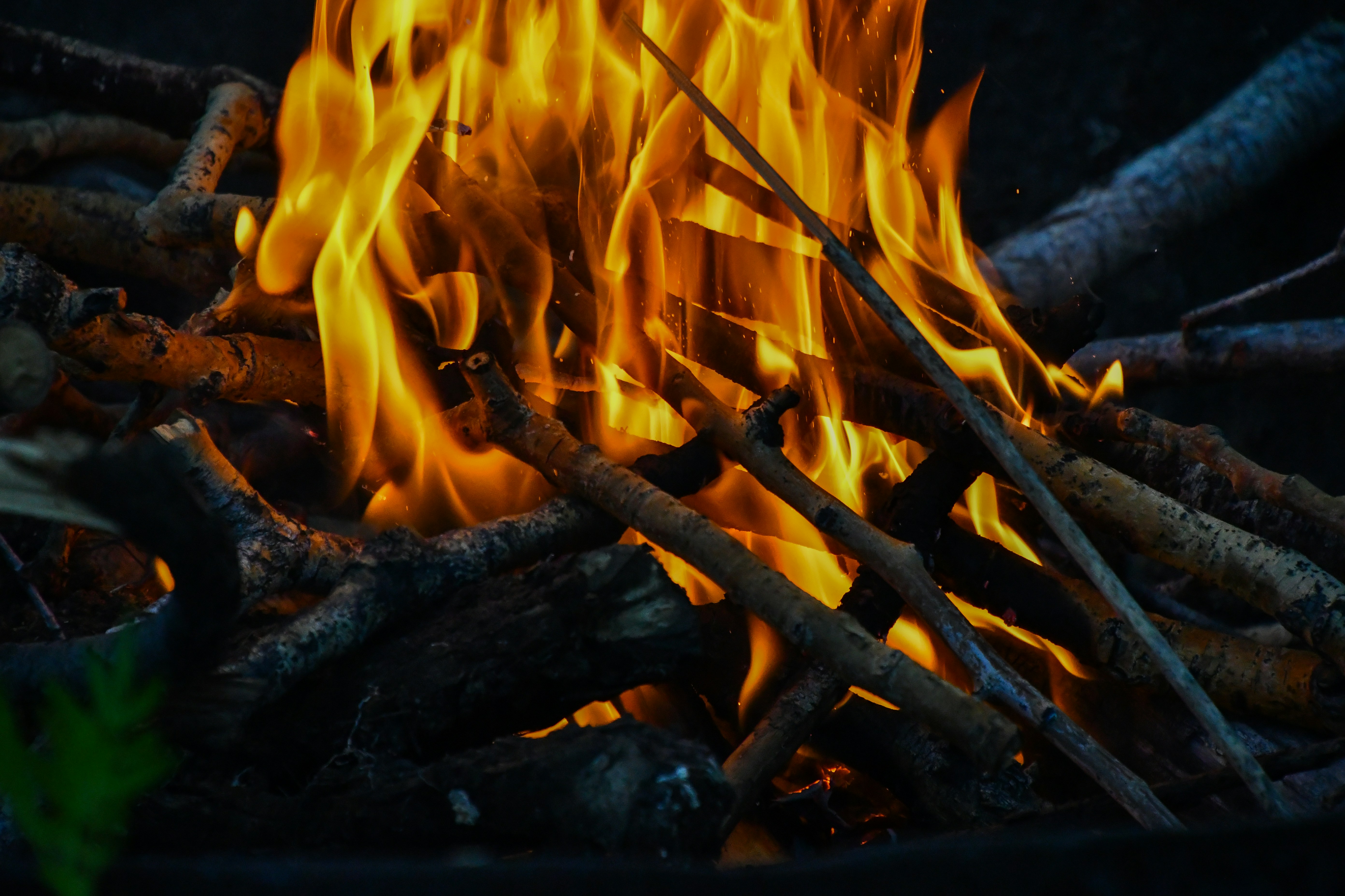 Photo by tory_hoffman