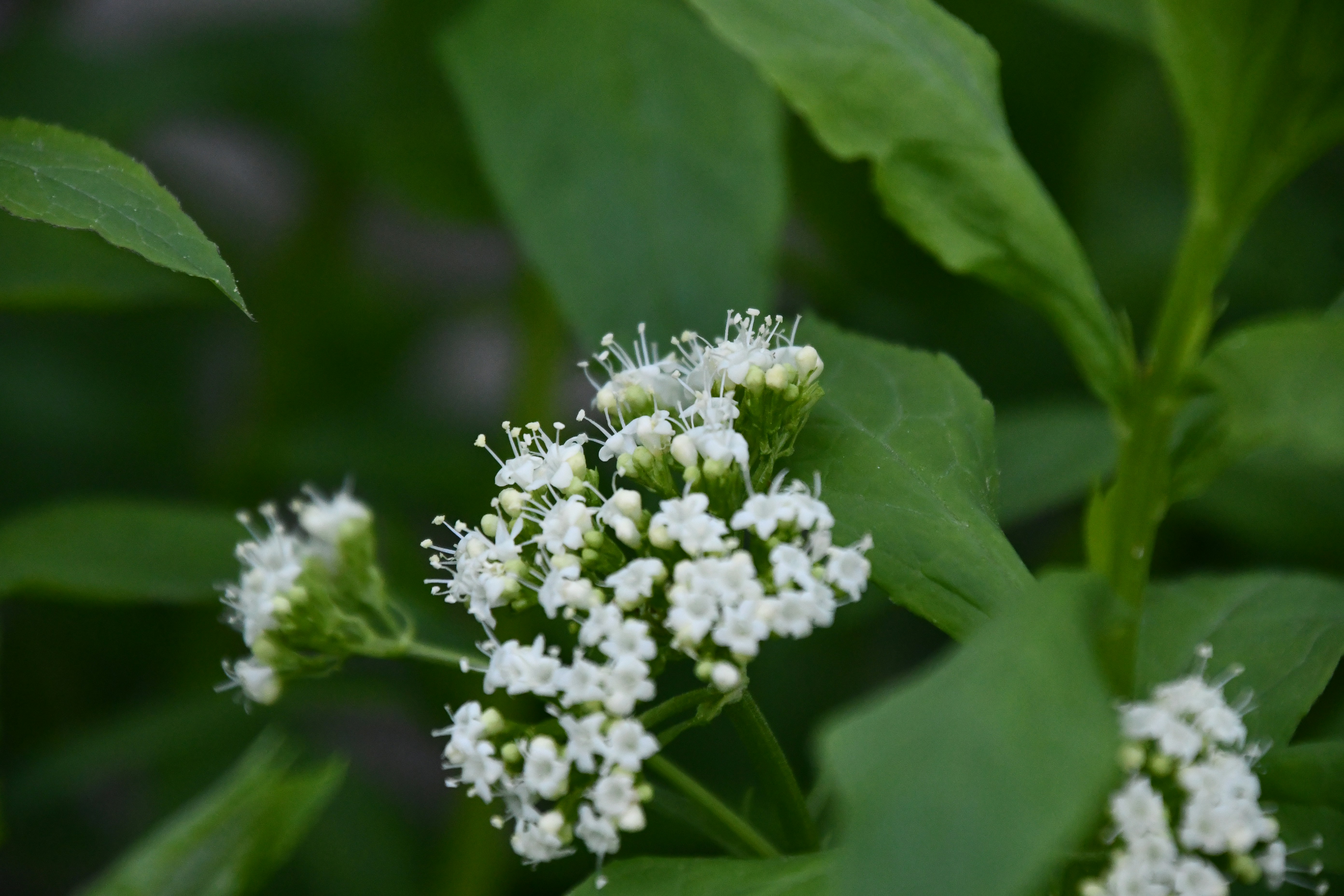 Photo by tory_hoffman