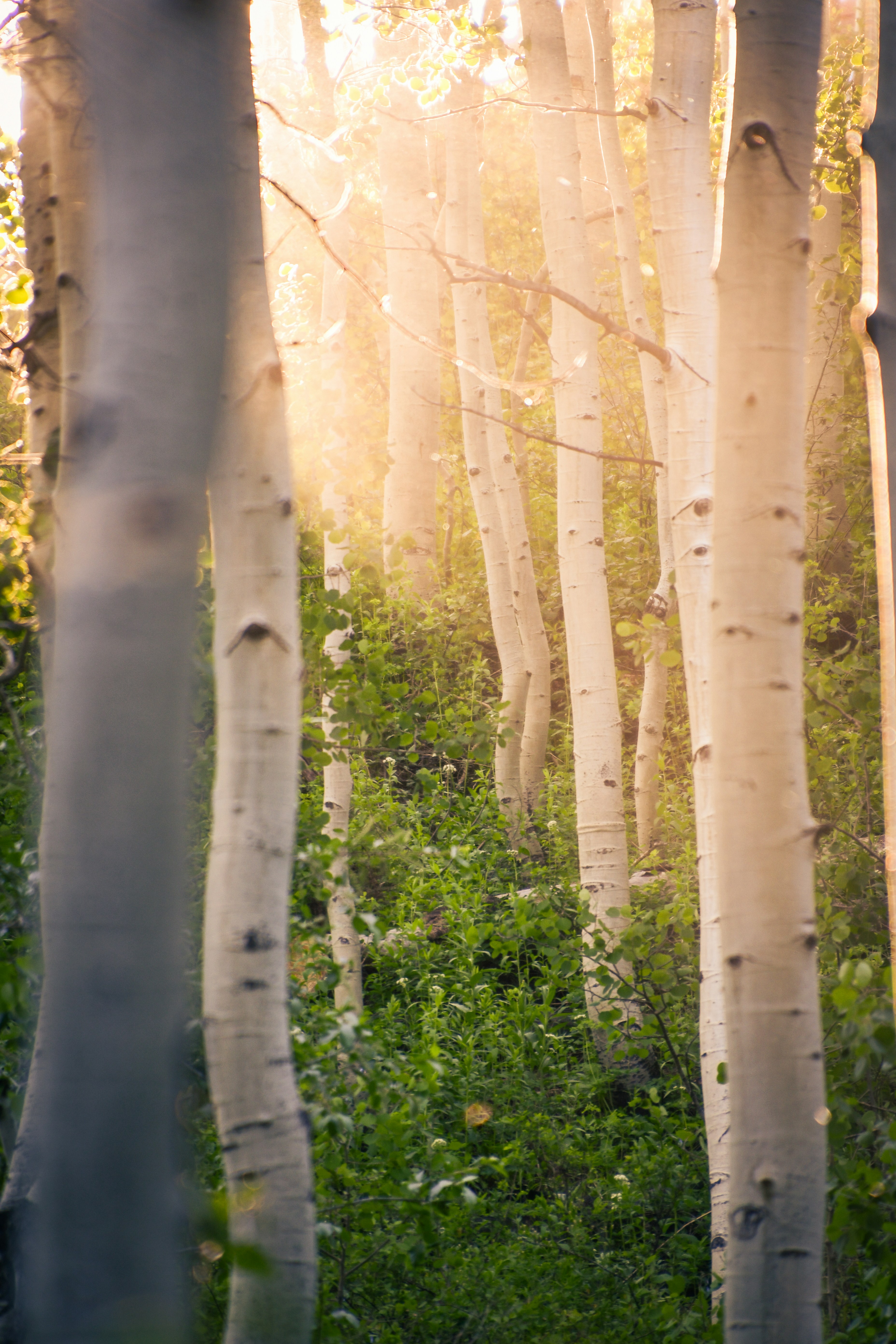 Photo by tory_hoffman