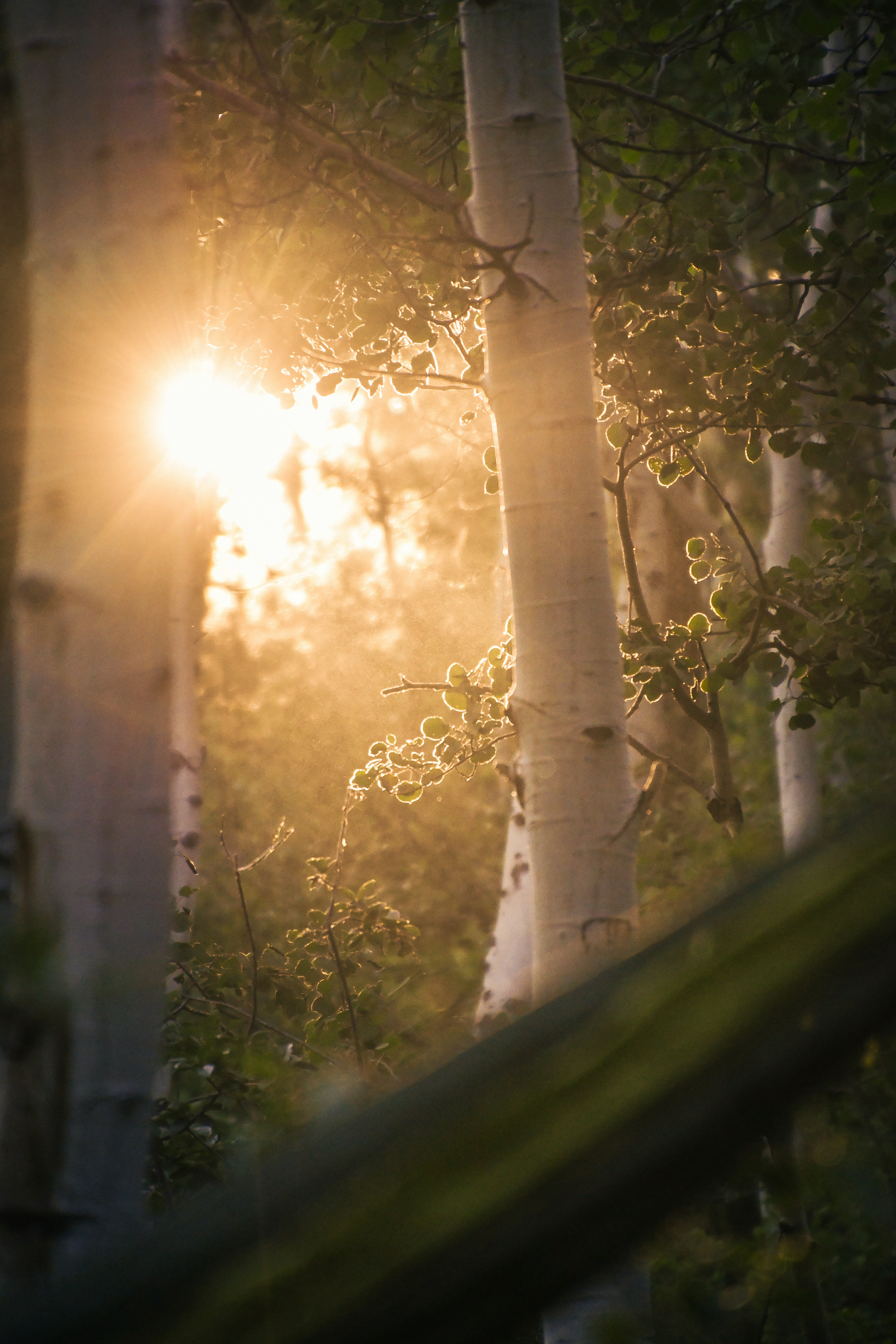 Photo by tory_hoffman