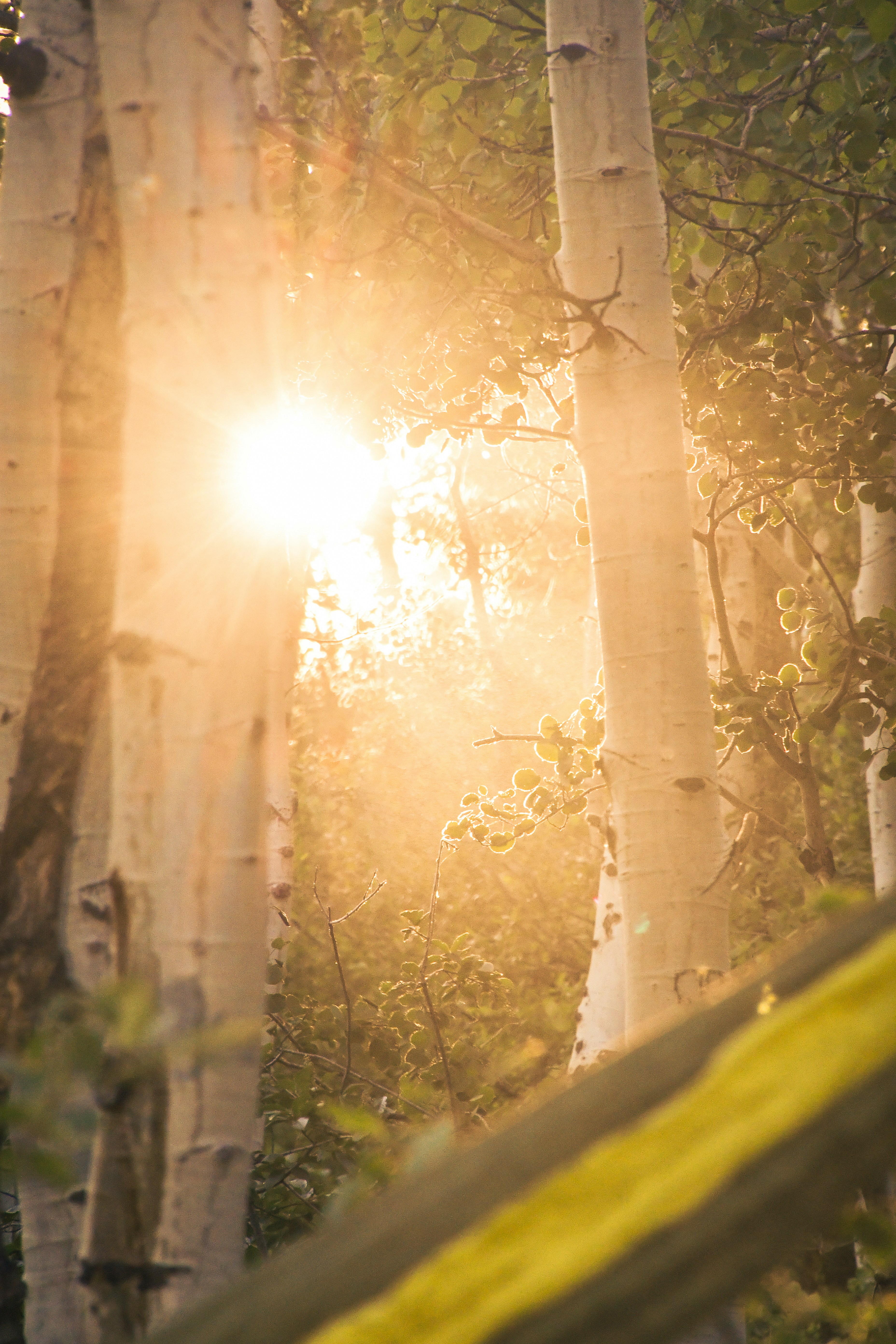 Photo by tory_hoffman