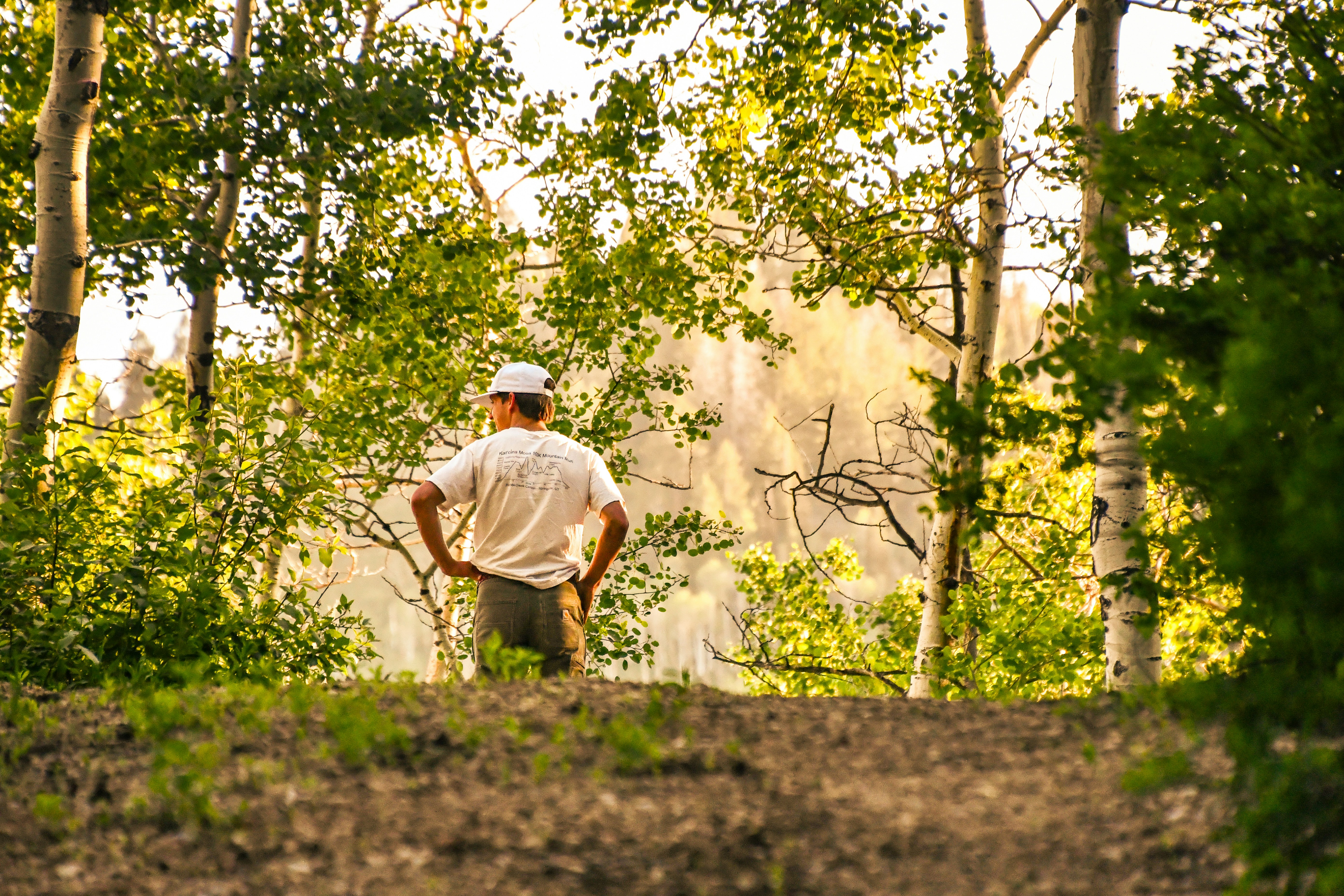 A man looks out into a forest view.