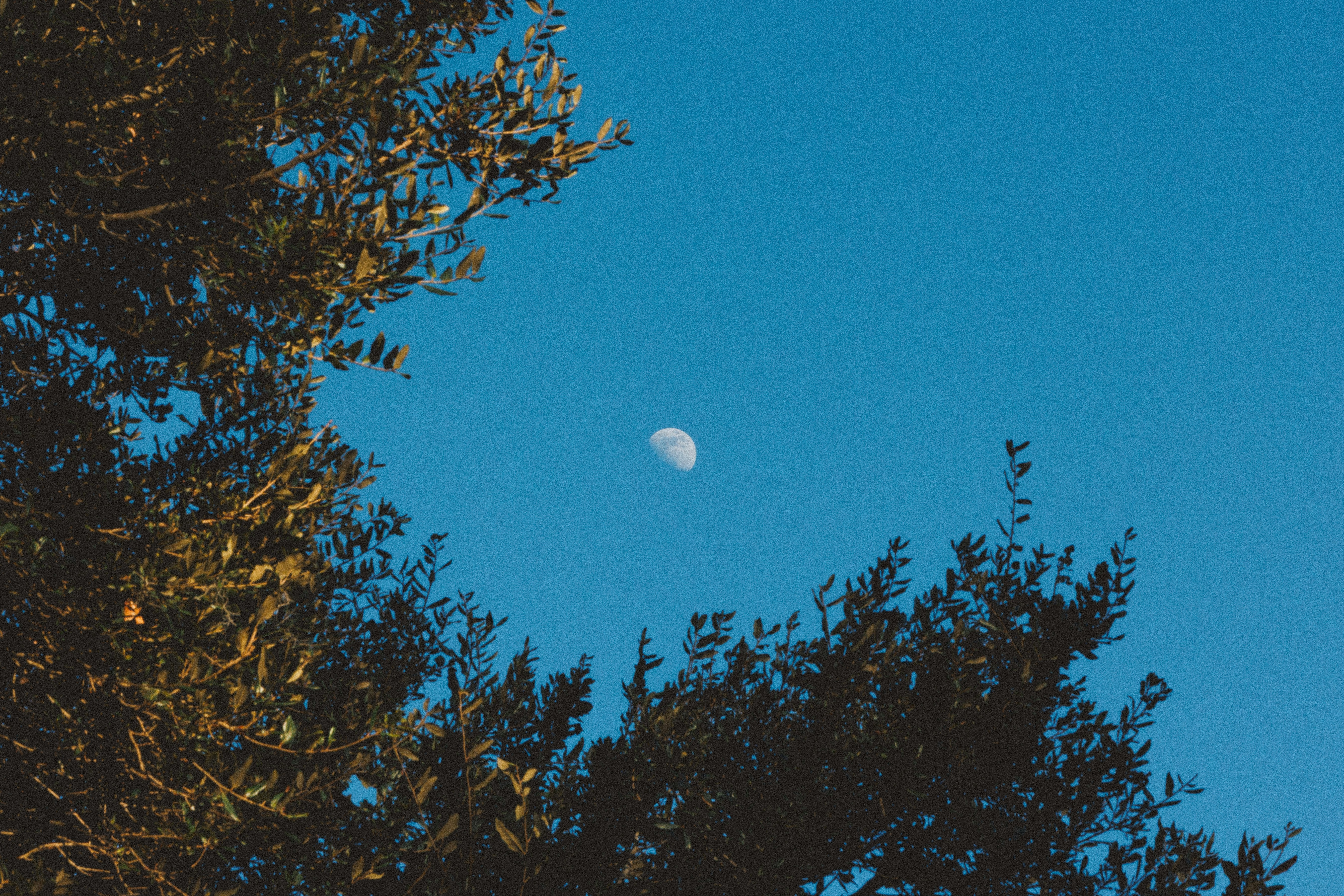 太陰星深度解析：適合買房地產的大財星？