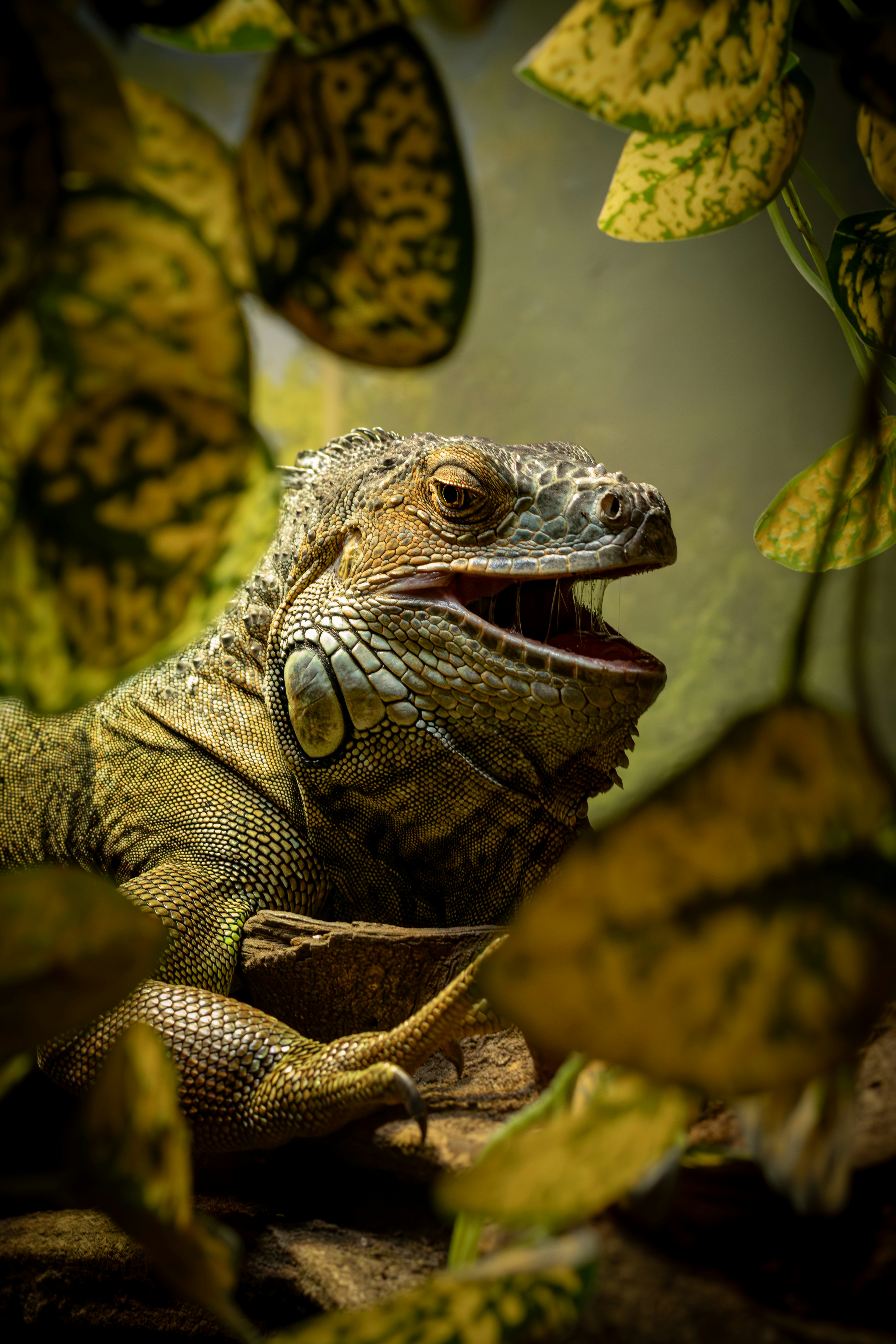 Photo by something_else