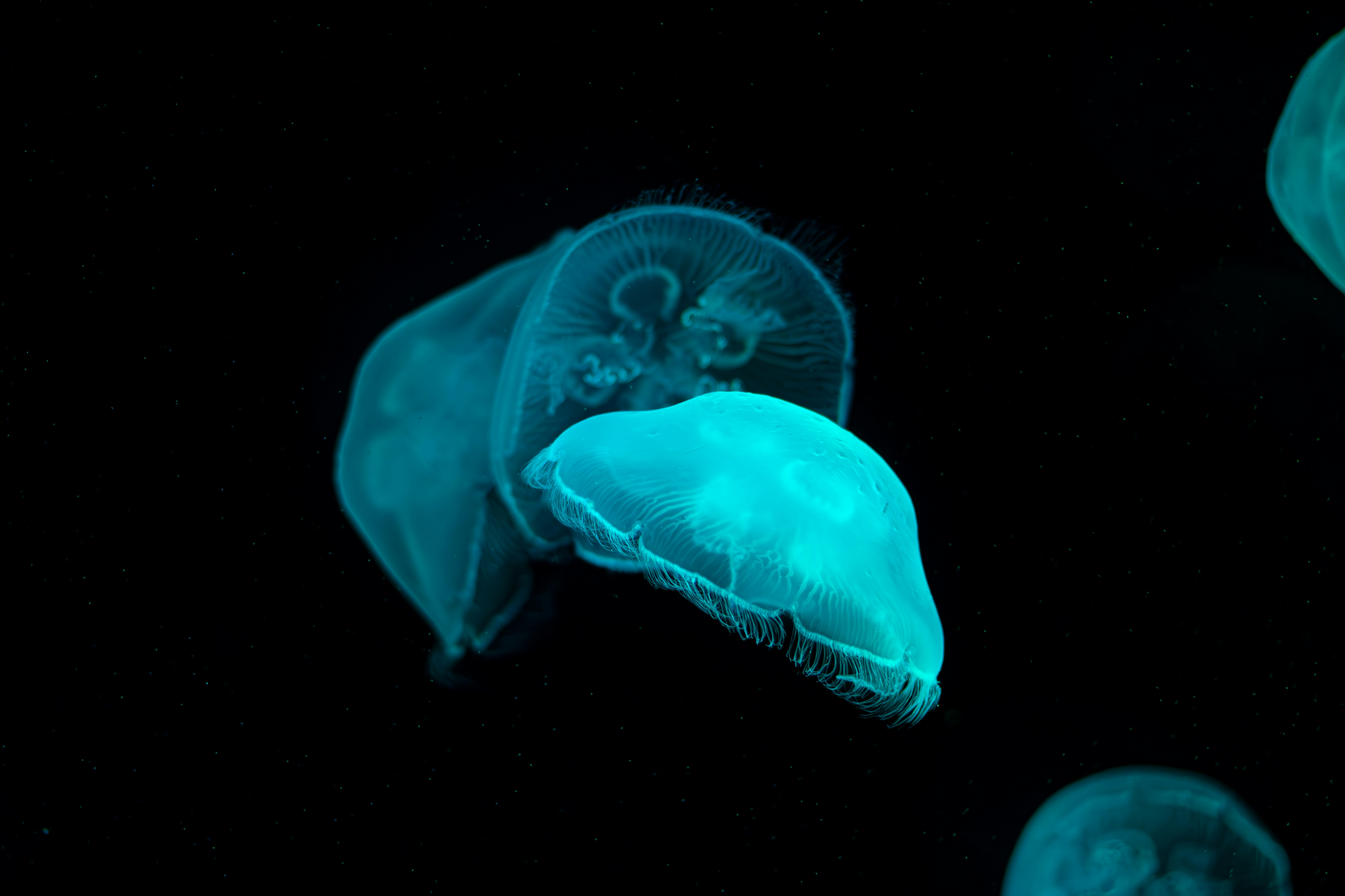 Photo by something_else