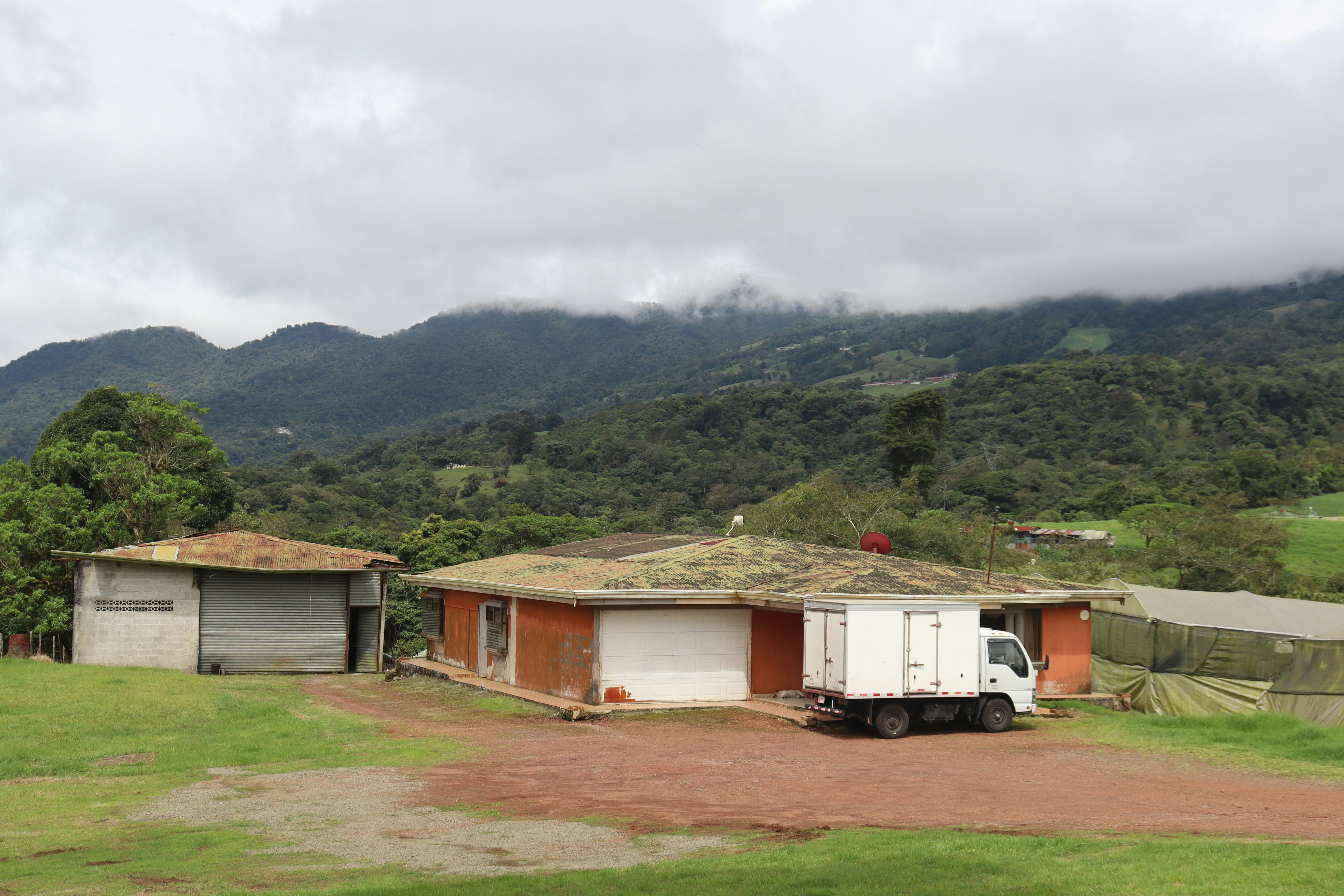 Heredia, Costa Rica - None