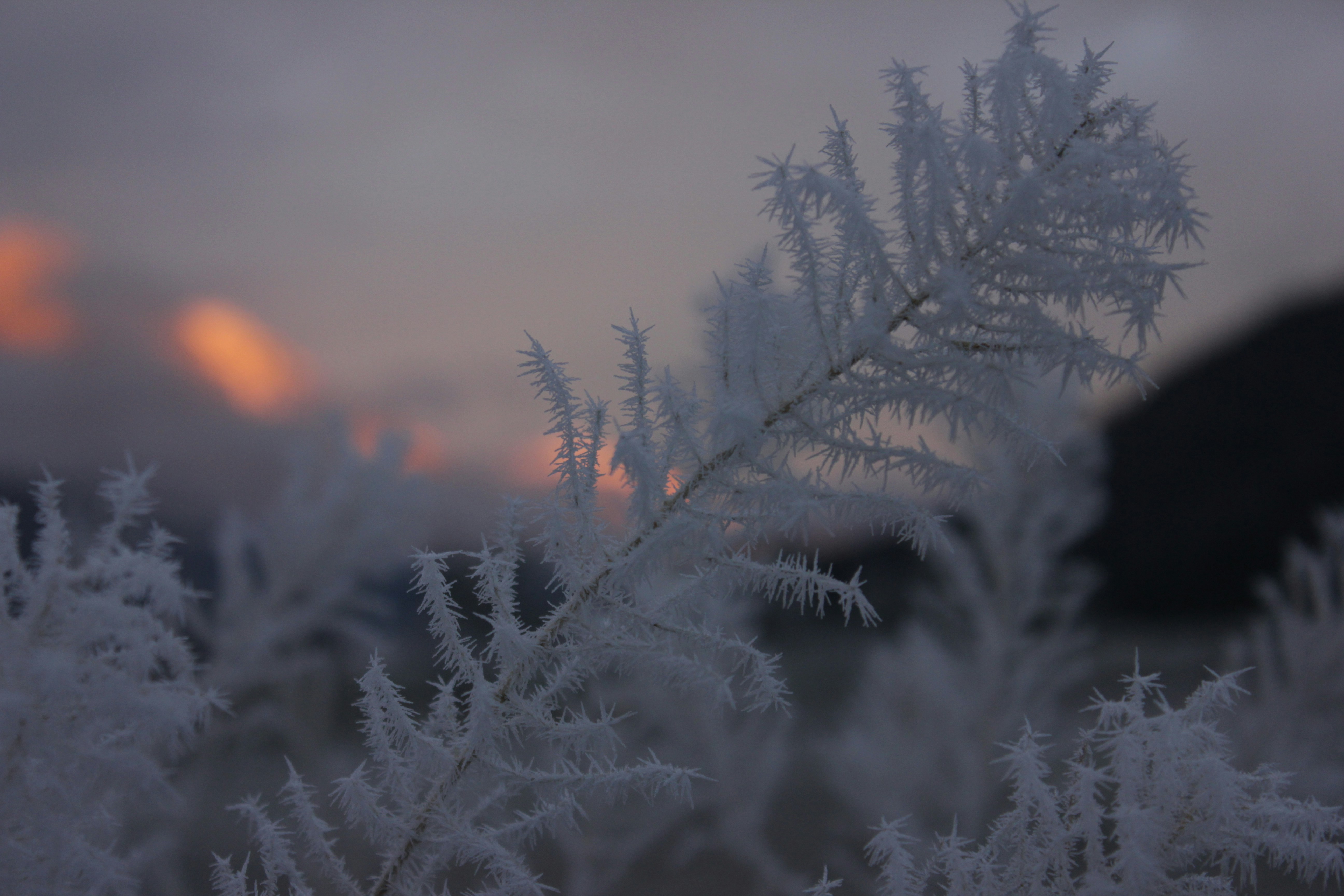 Photo by nathaniel2010