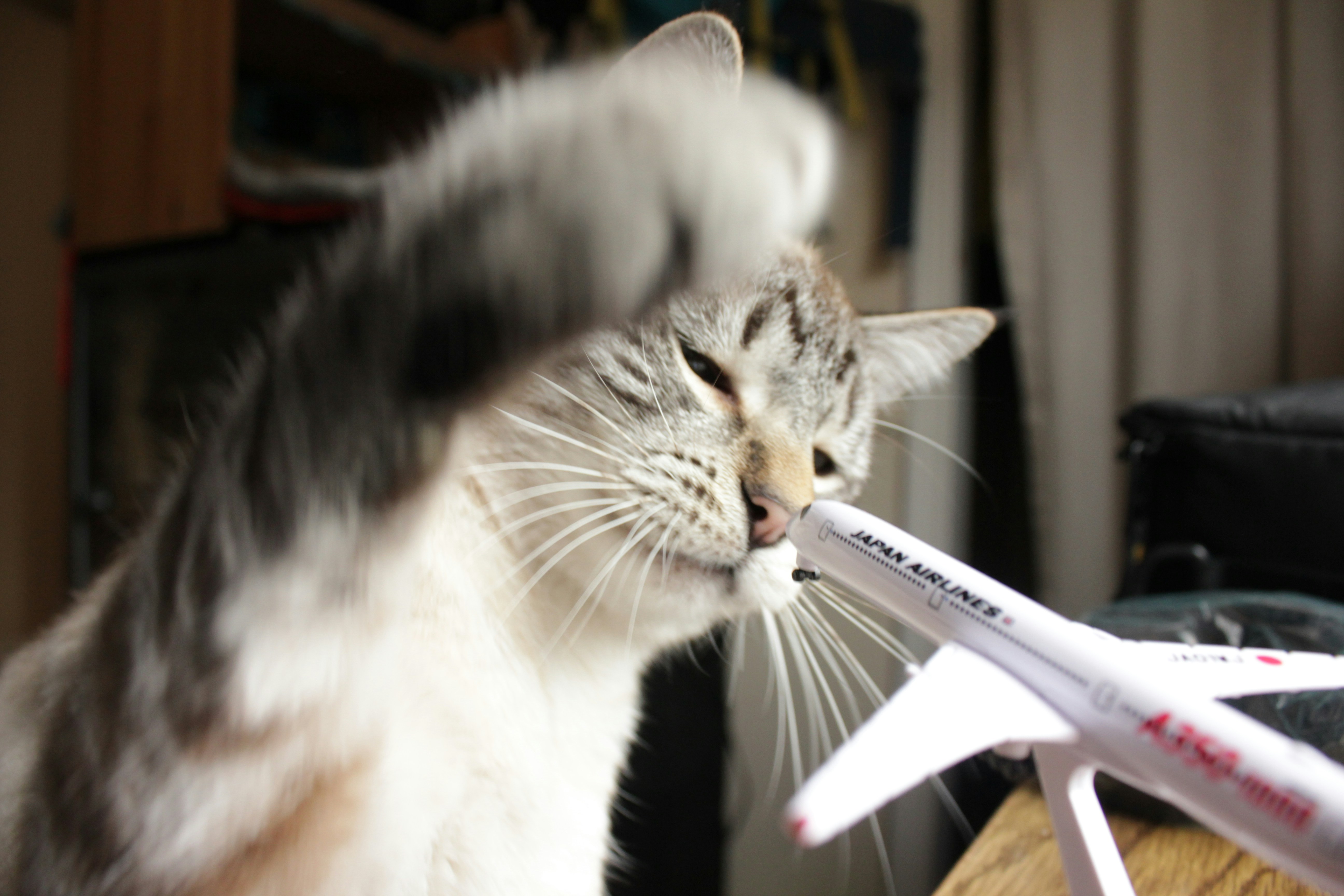 Photo by nathaniel2010