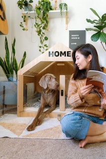 Woman reading next to dog in modern dog house.