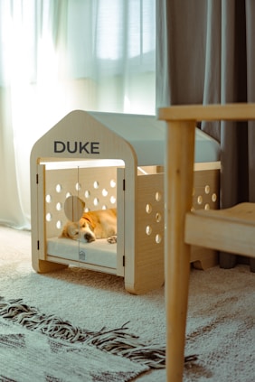A dog rests in a modern wooden dog house.