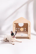 French bulldog lies next to a modern wooden dog house.
