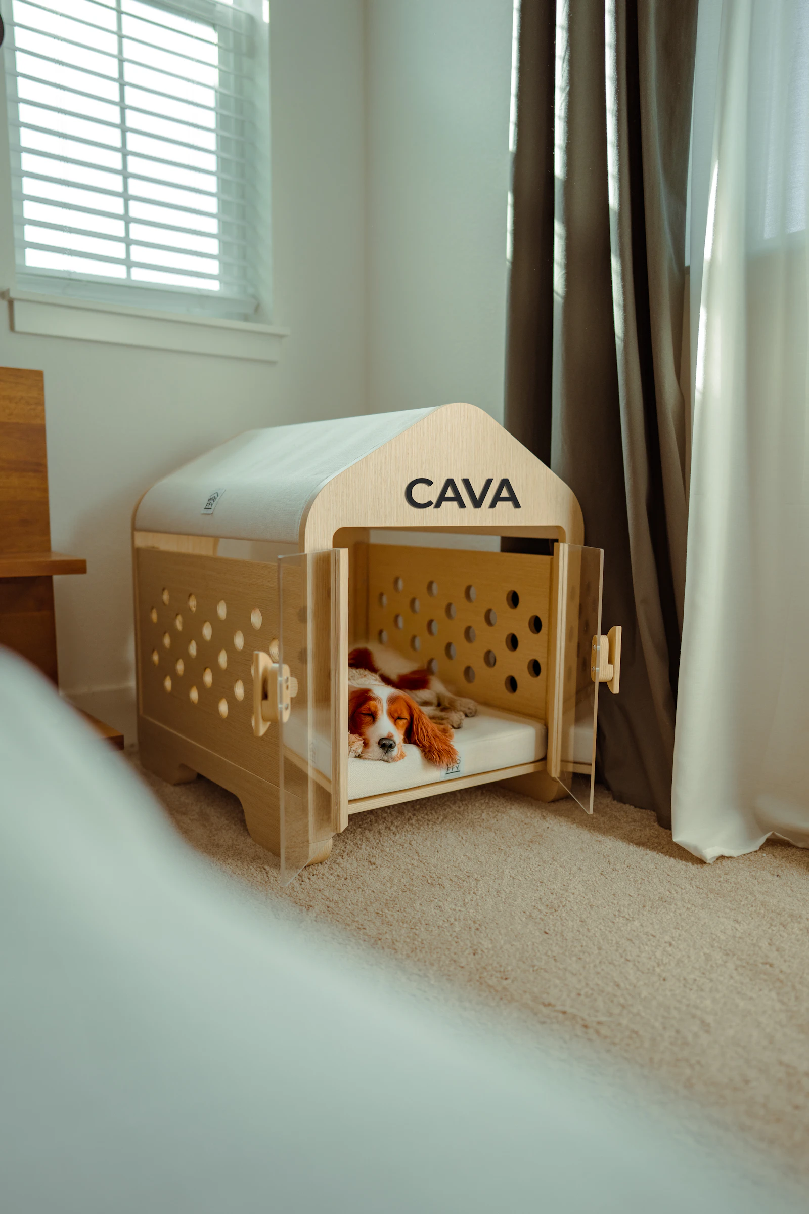 Dog resting comfortably inside a transport crate
