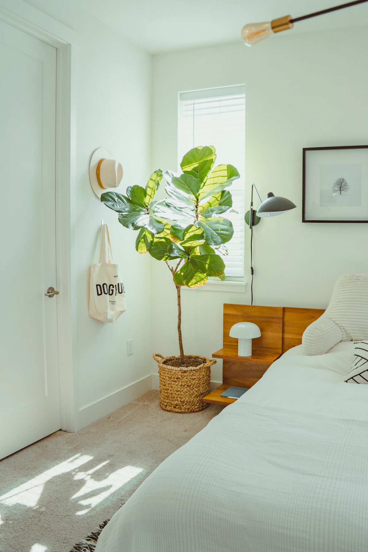 Landscape paintings and a green lamp