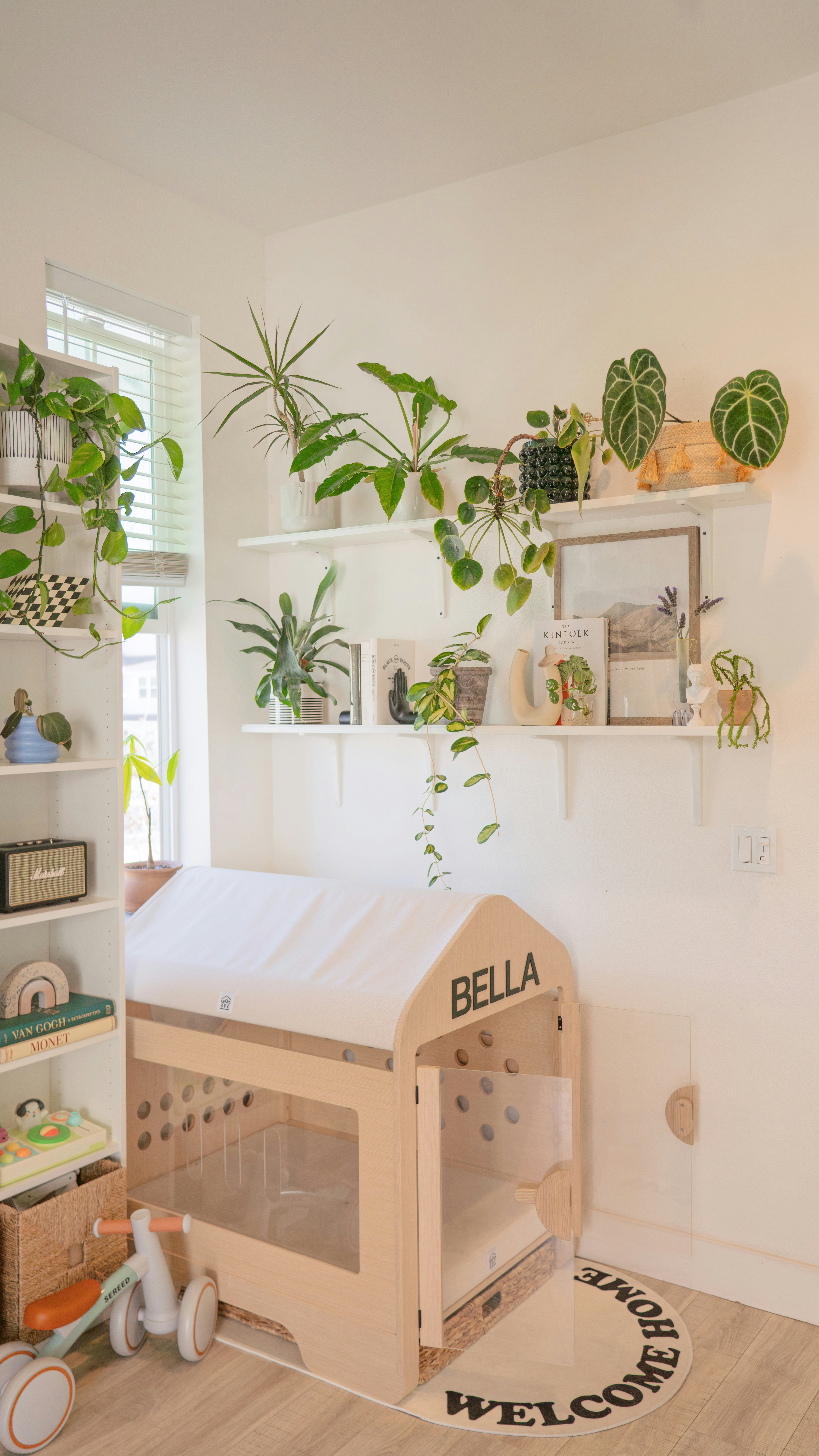 A cozy room with plants and a pet house.