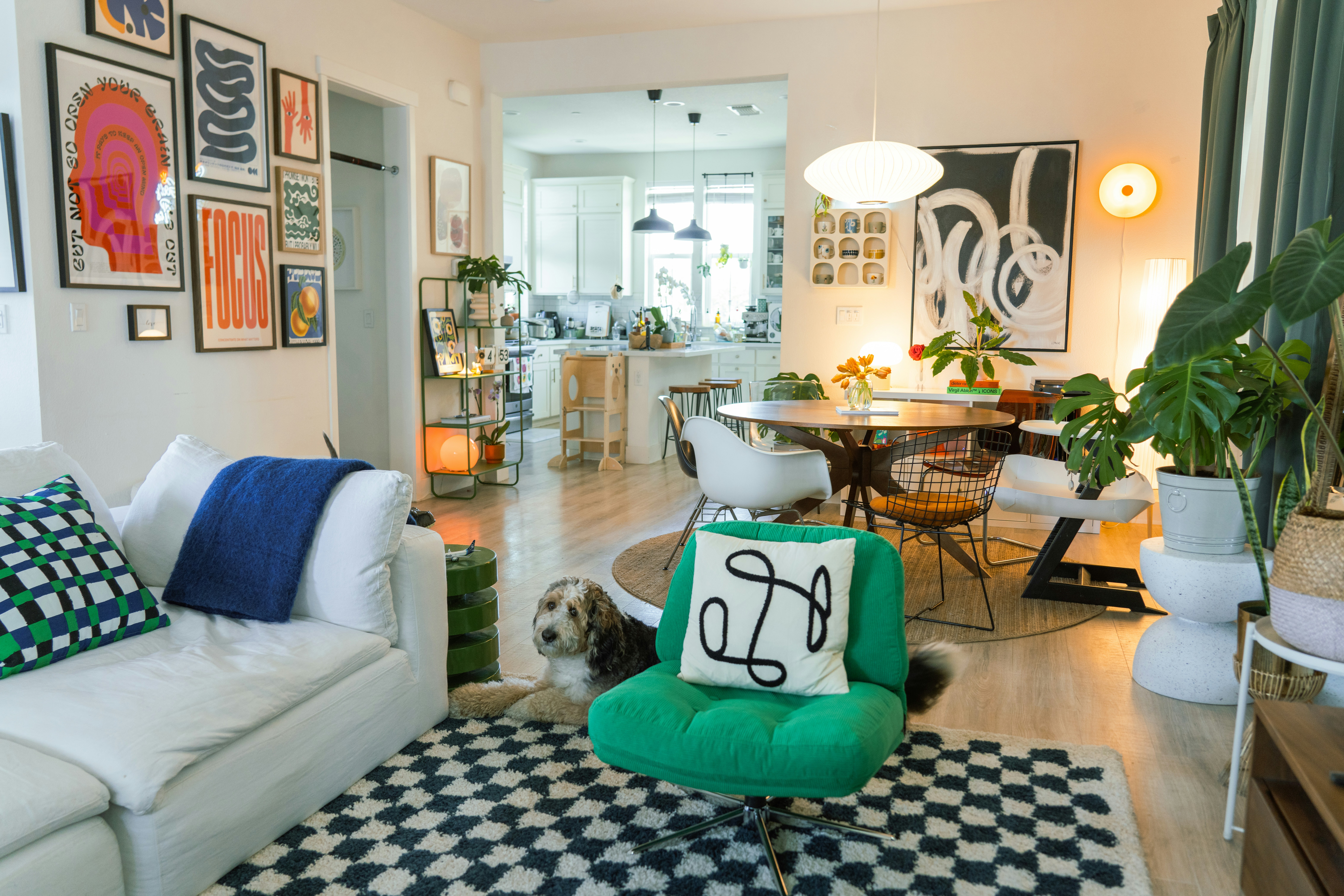 Why Your Tiny City Apartment Might Actually Be the Perfect Home for a French Bulldog