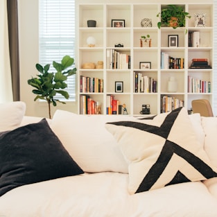 Living room with white sofa and bookshelf.