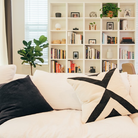 Living room with white sofa and bookshelf.