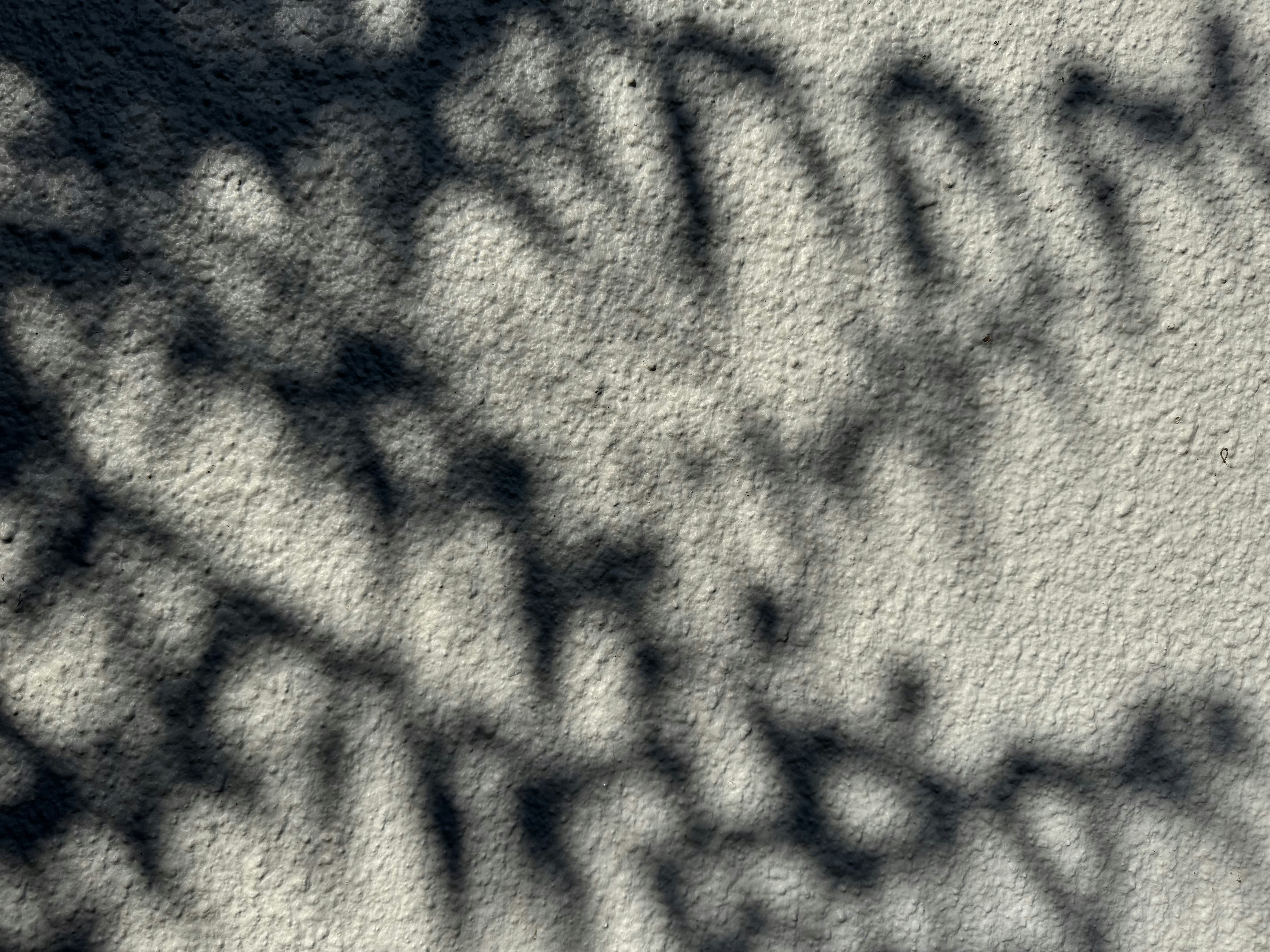 Photo by jonathanburger