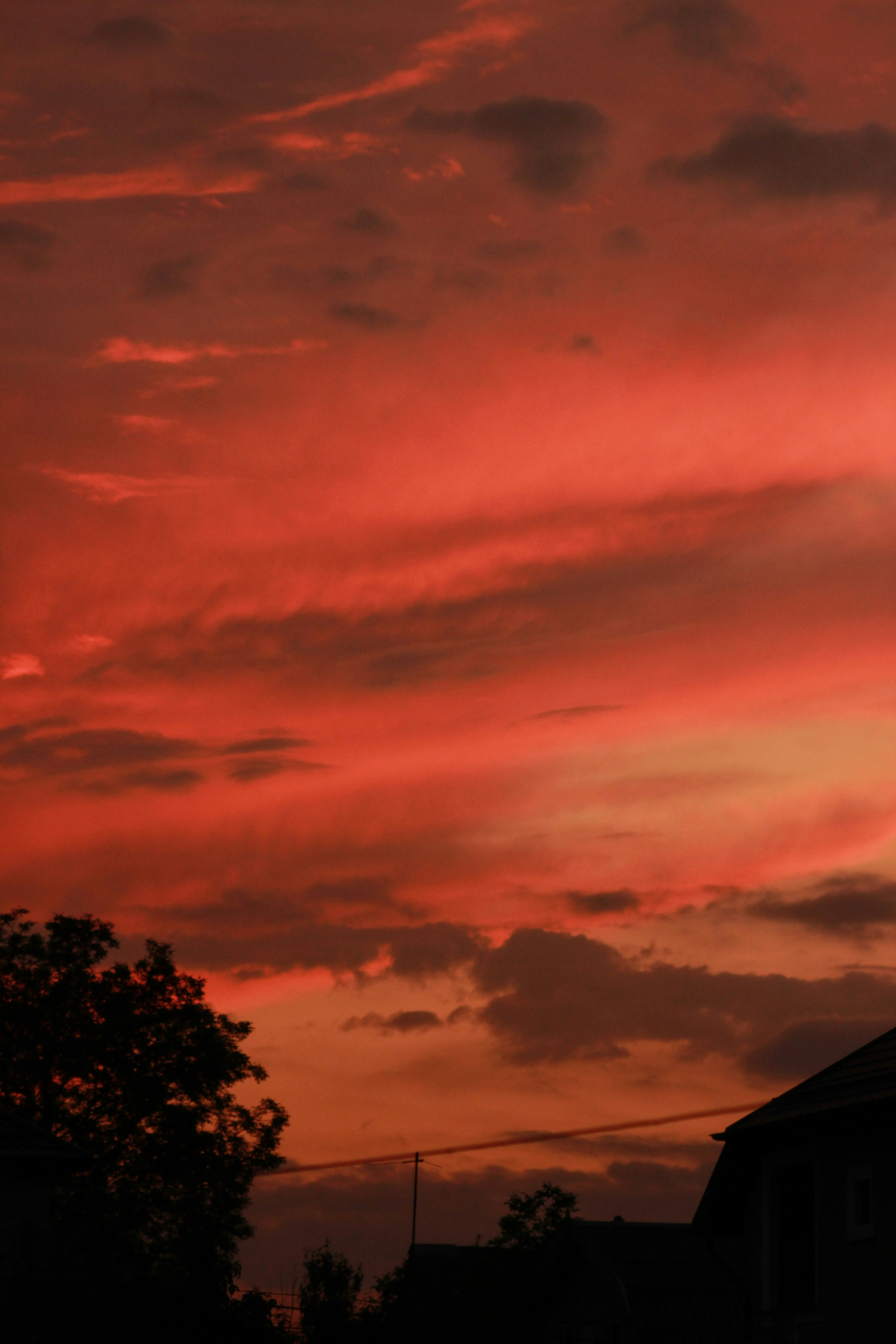 Photo by michael_kater