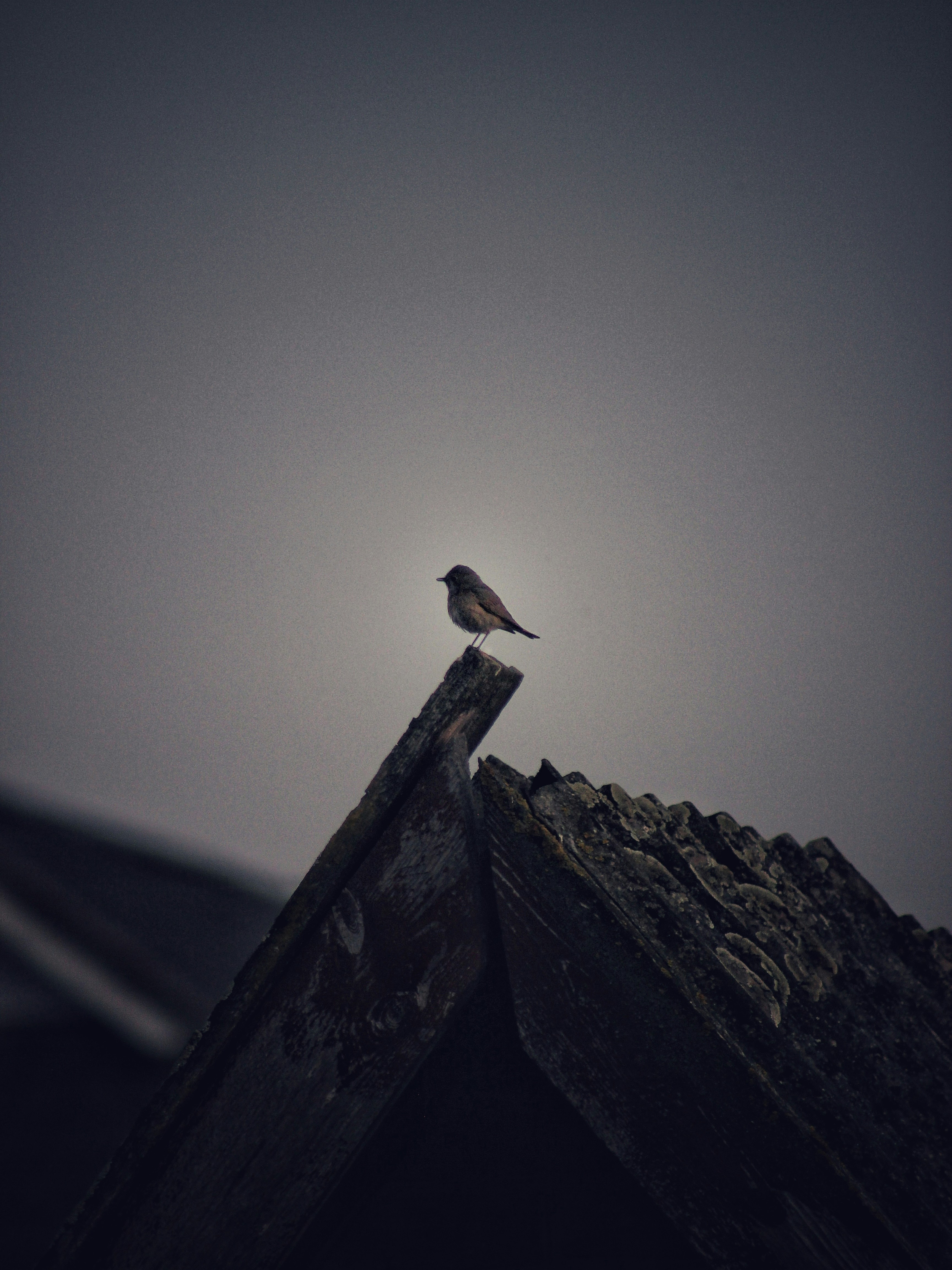 Photo by michael_kater