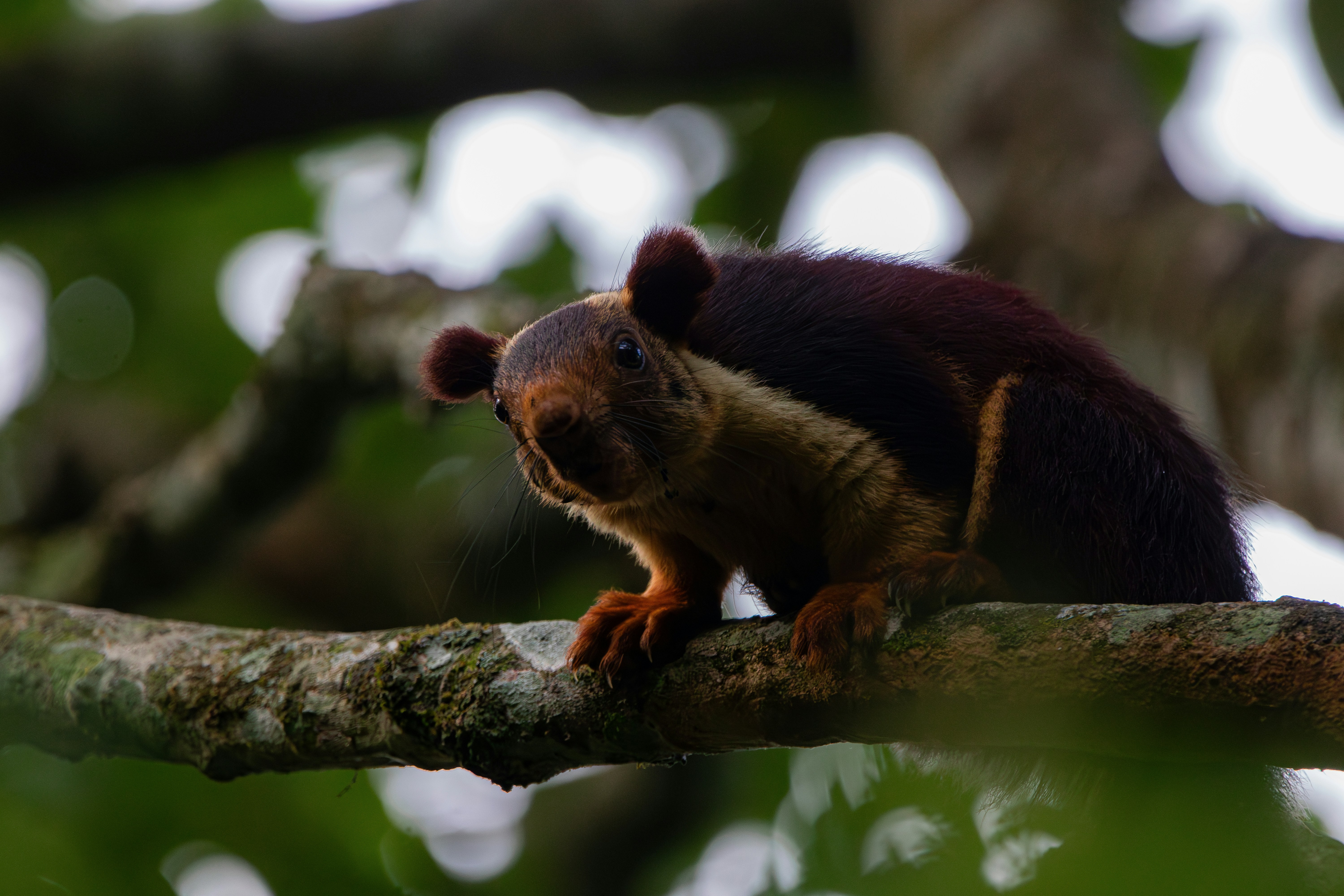 Photo by saiteja_varma