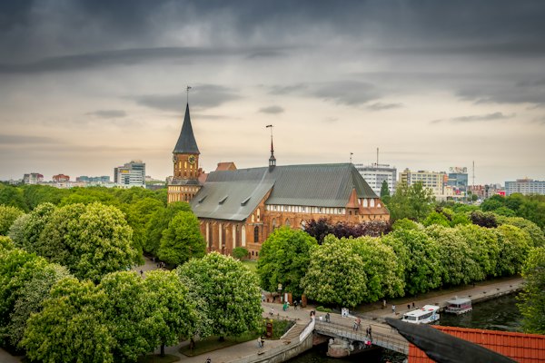 Königsberg Cathedral above the trees — Kaliningrad, Russia