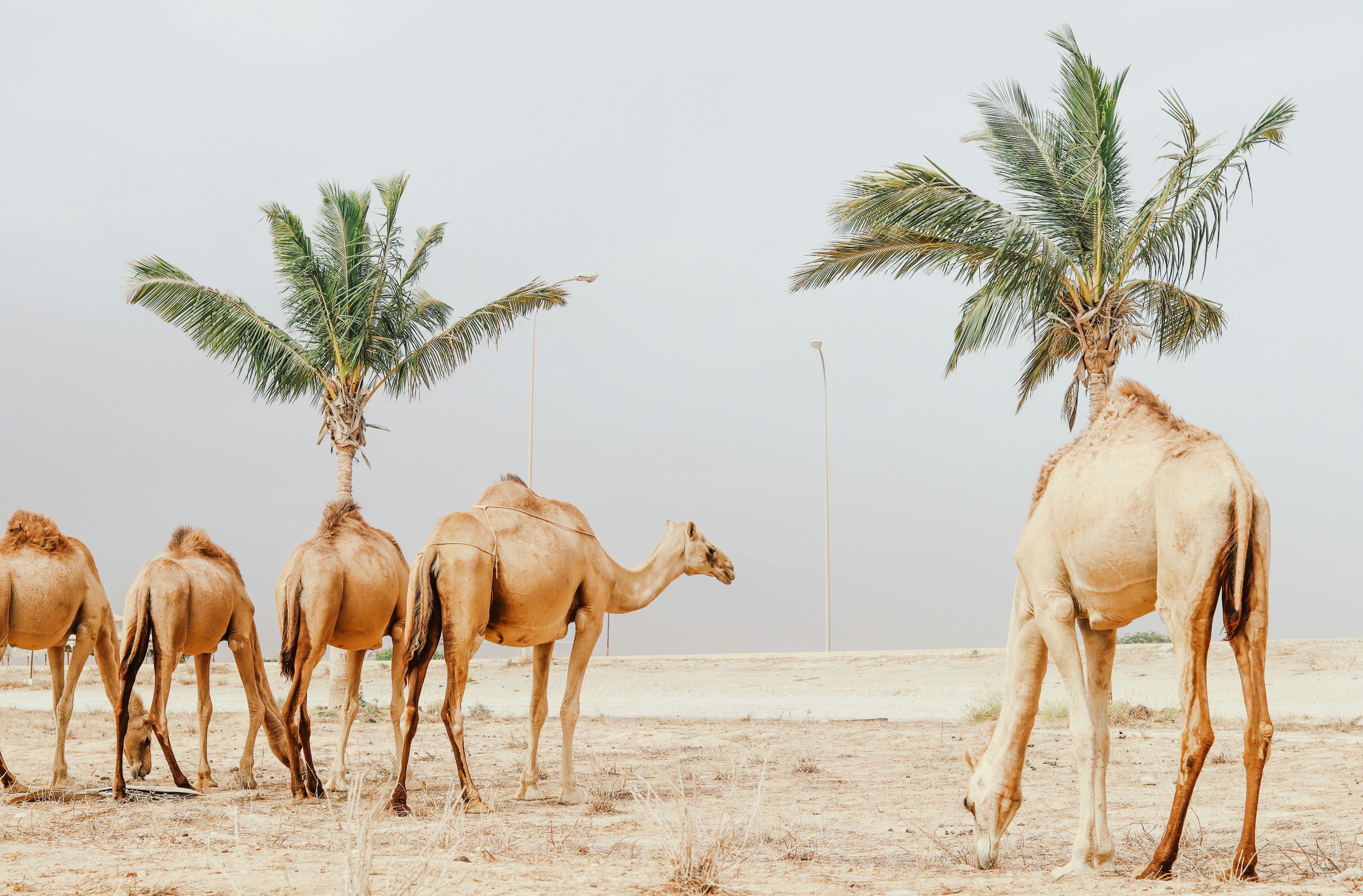 Photo by vpphotographers