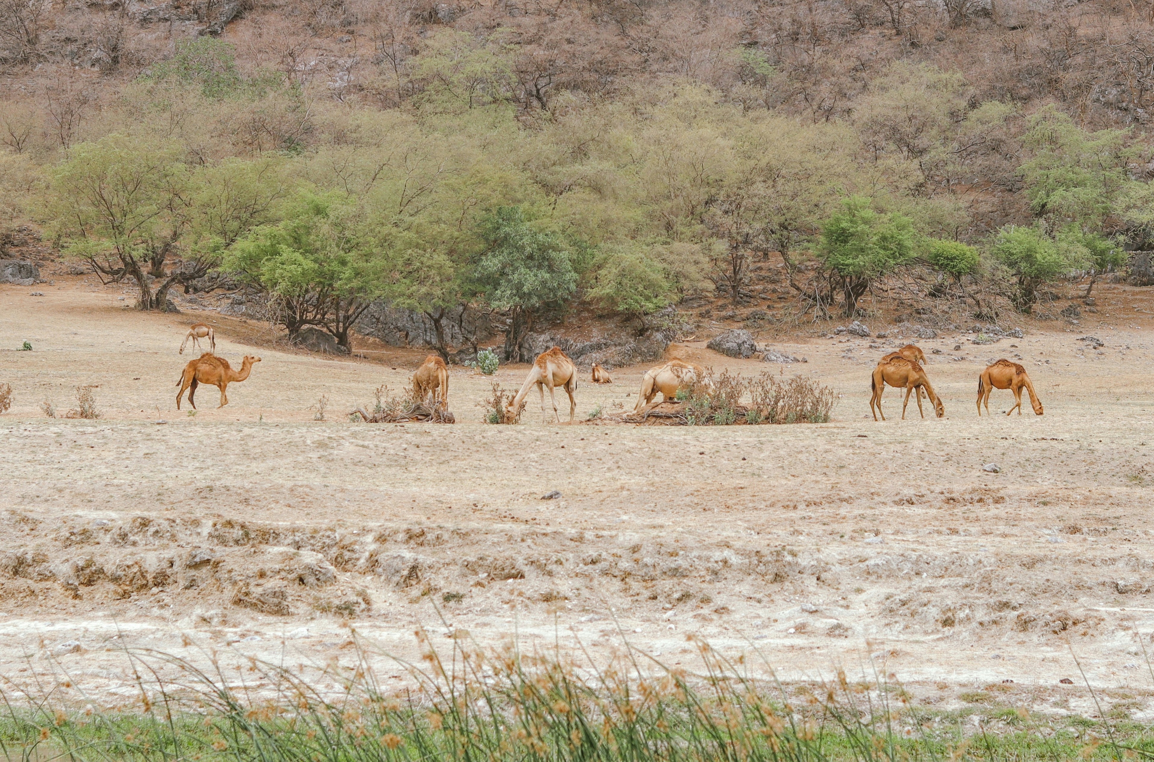 Photo by vpphotographers