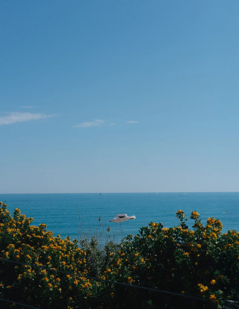 Plage et tour historique à Cap d'Agde sous le soleil méditerranéen