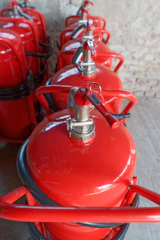 Several red fire extinguishers are lined up.