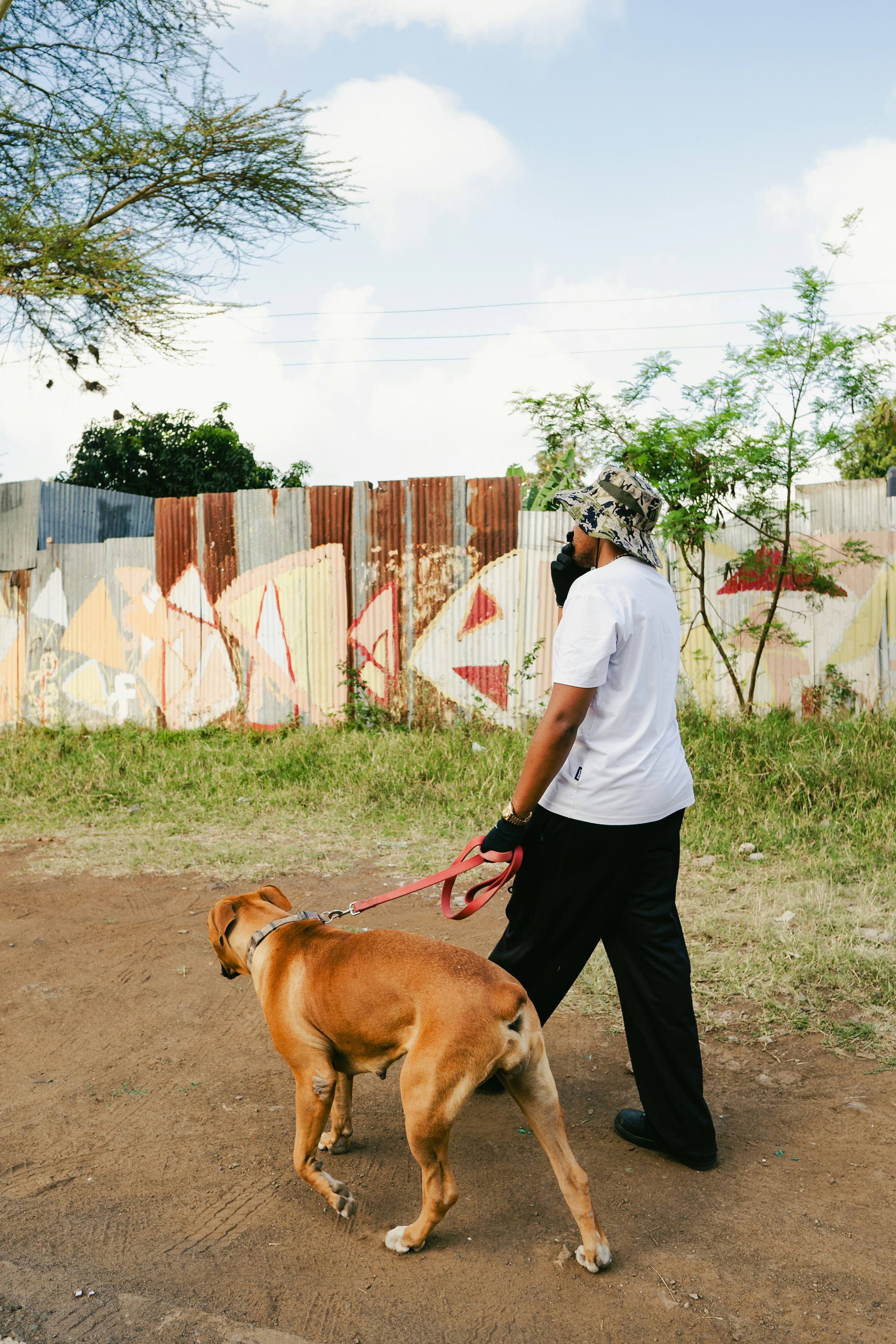 A person walks a dog on a leash.