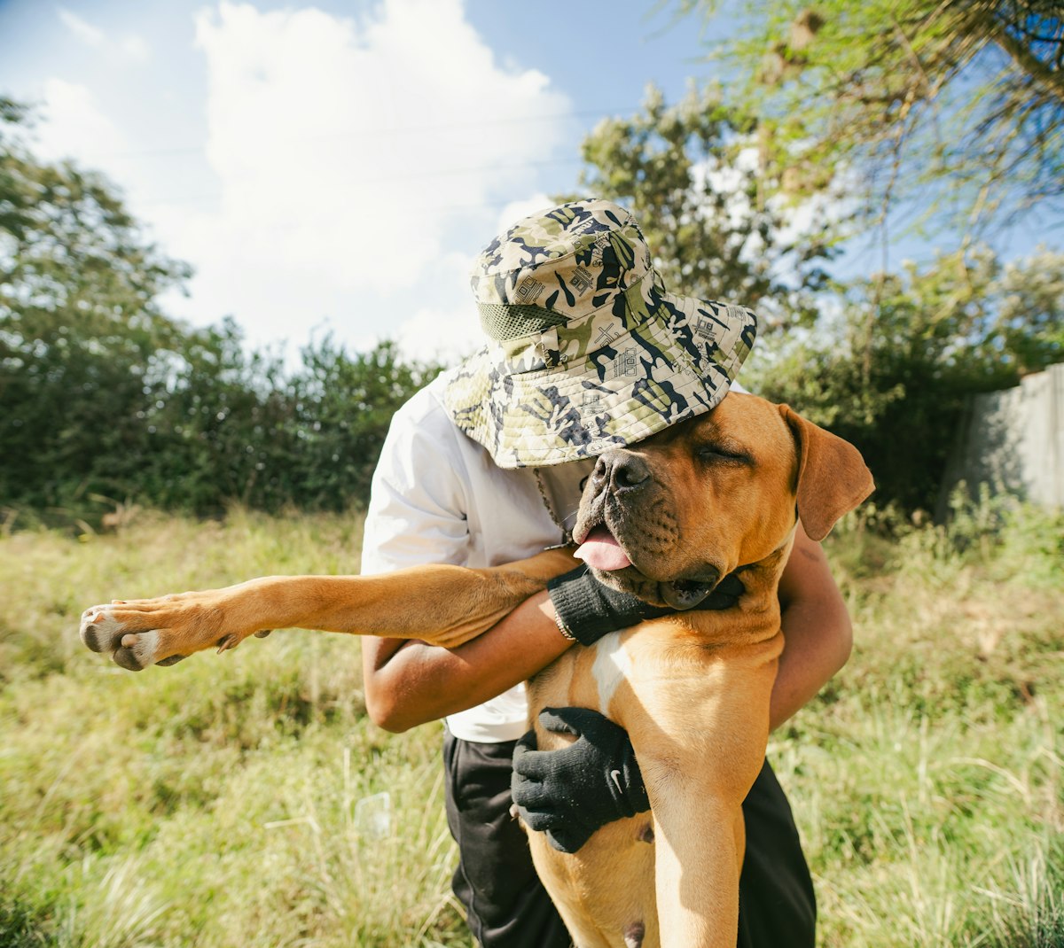 A playful puppy outdoors