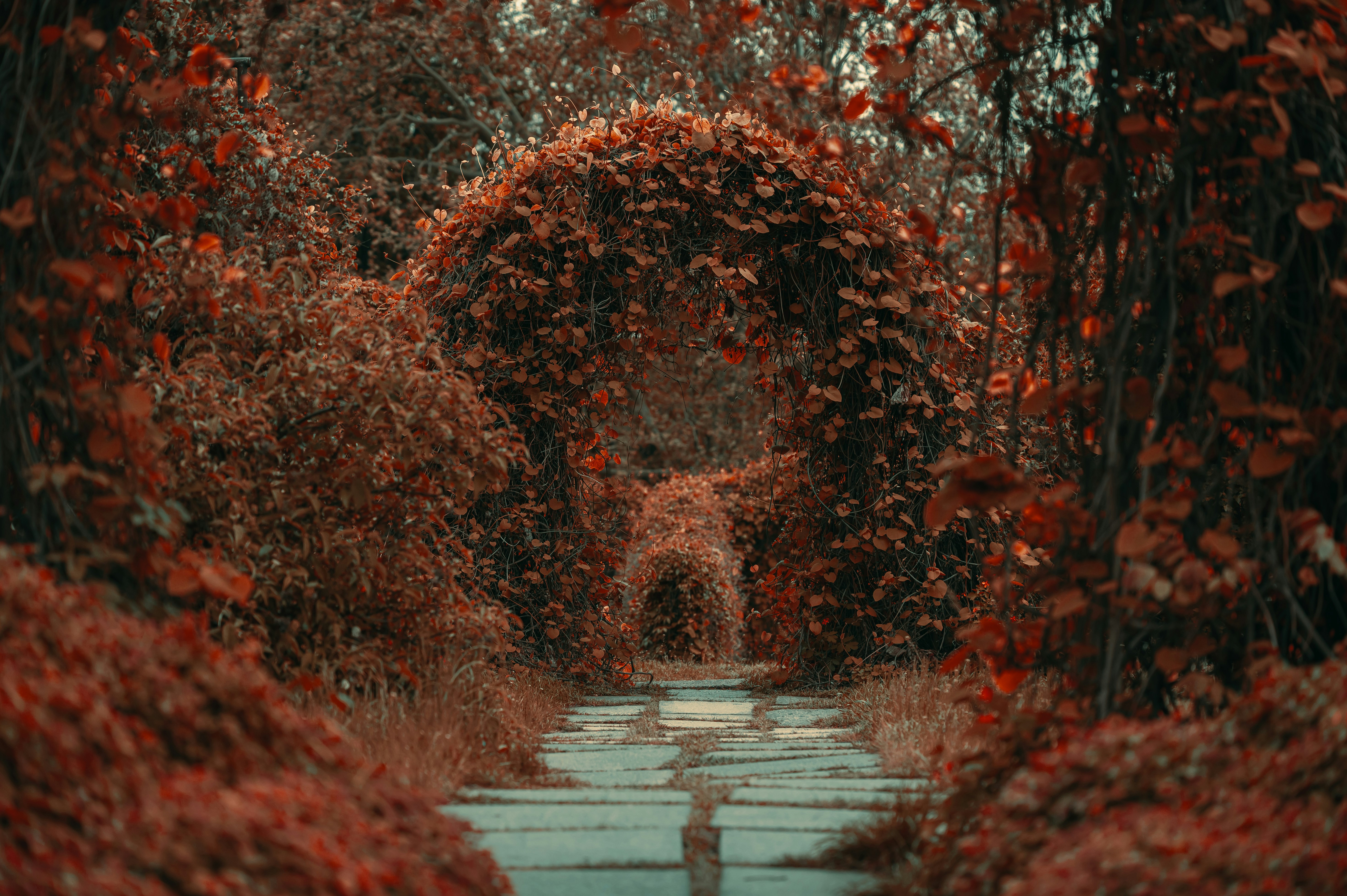 Photo by volodymyr_leush