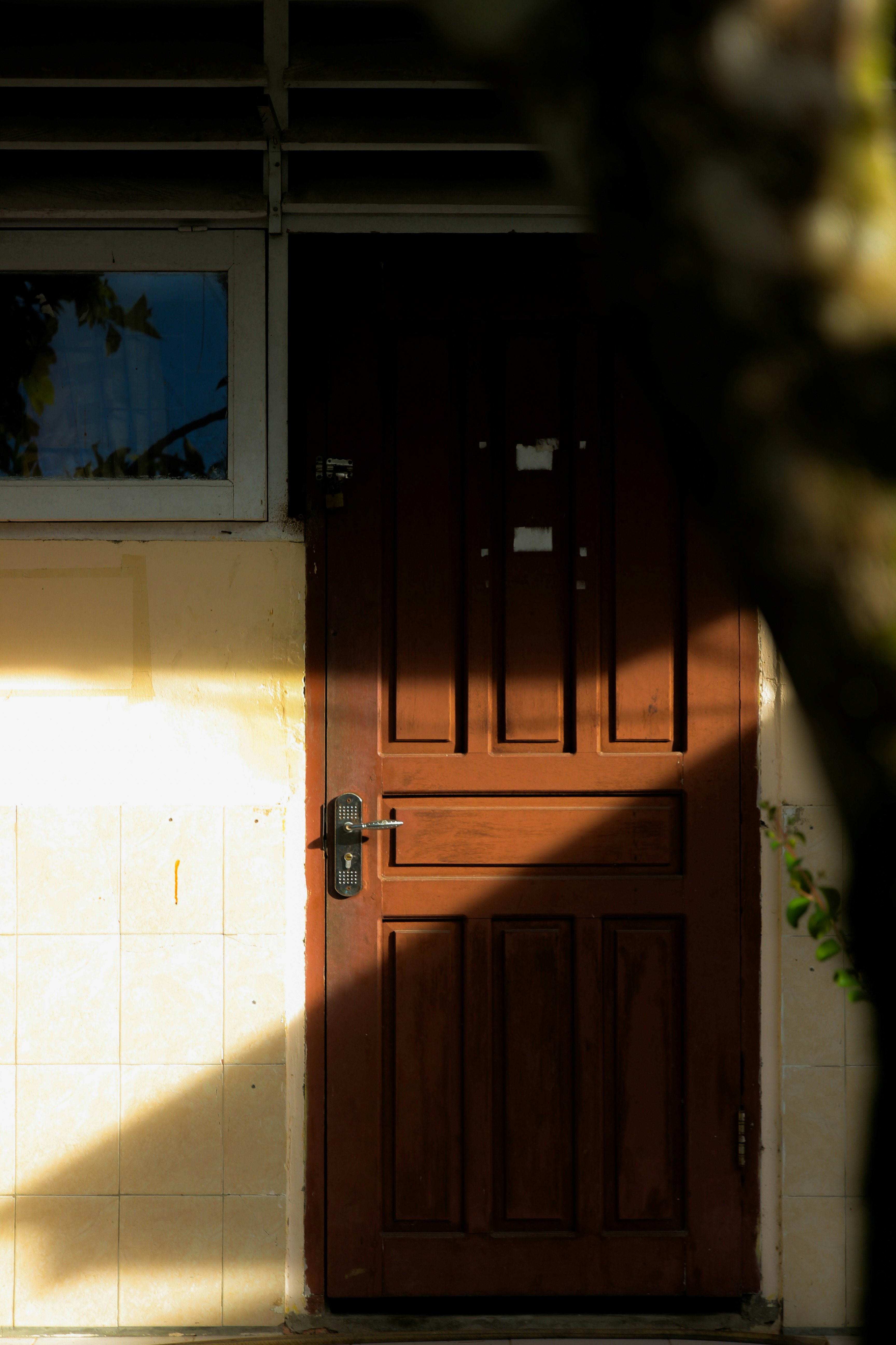 Photo by momonstar08