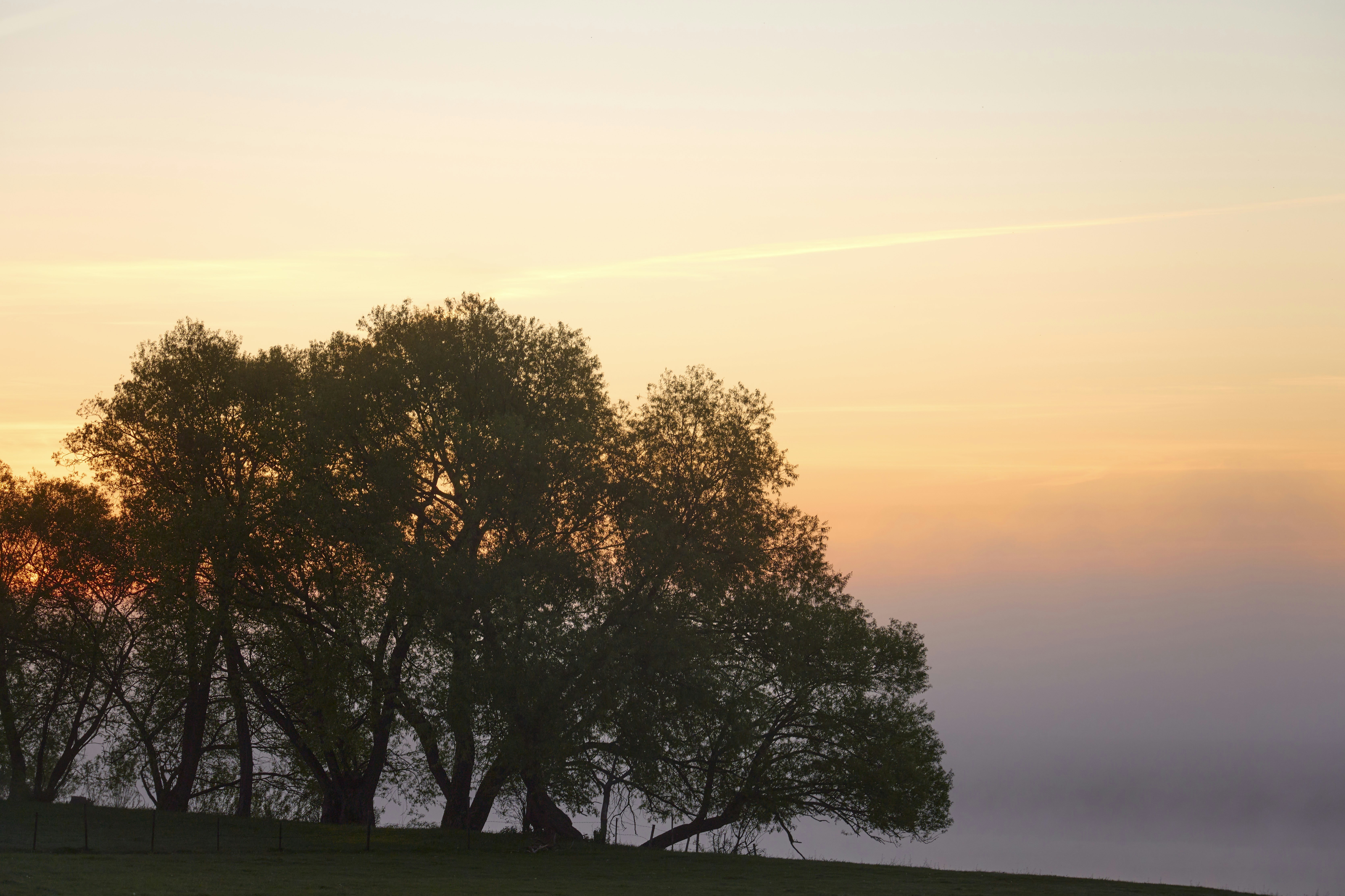 Photo by wolfgang_hasselmann