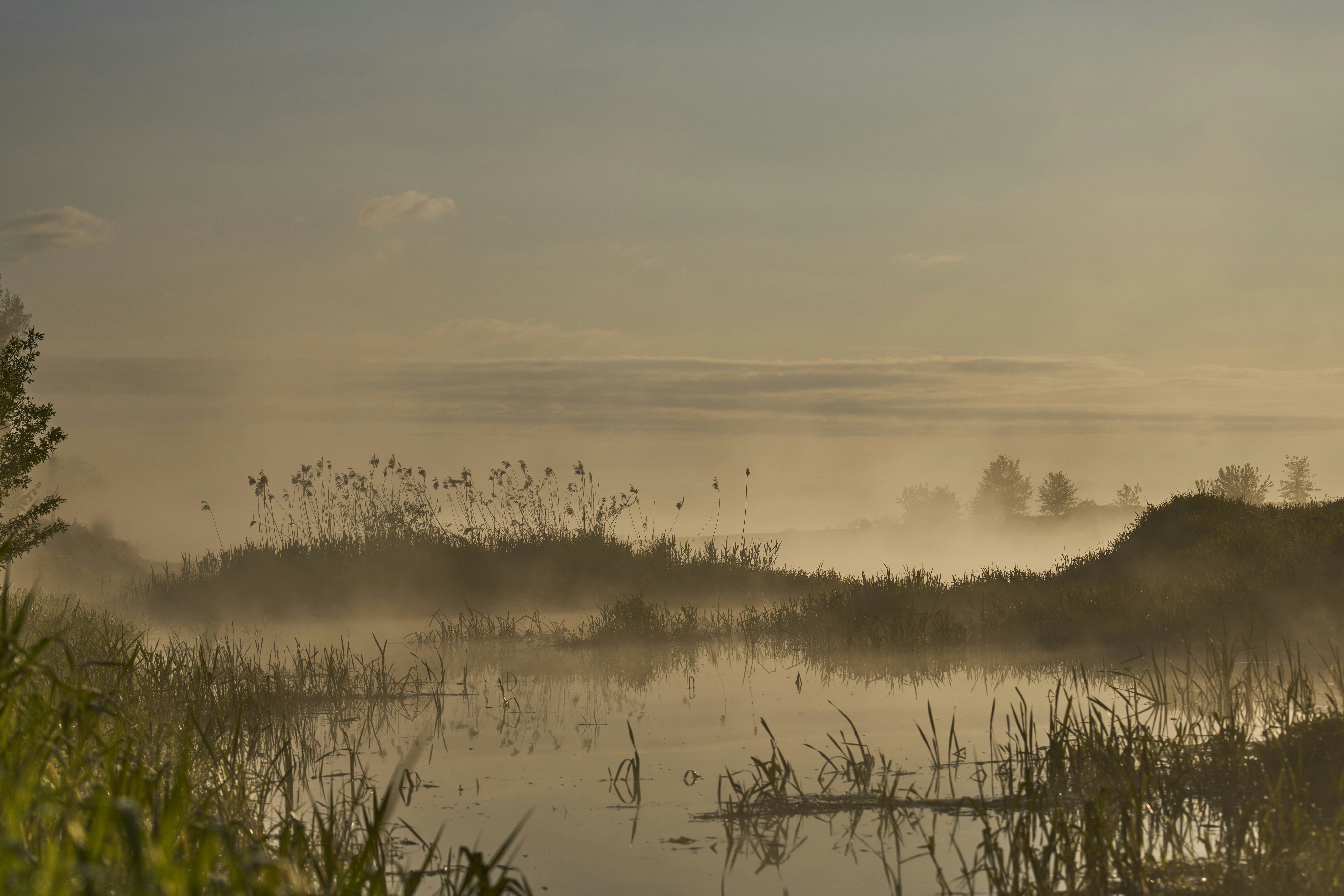 Photo by wolfgang_hasselmann