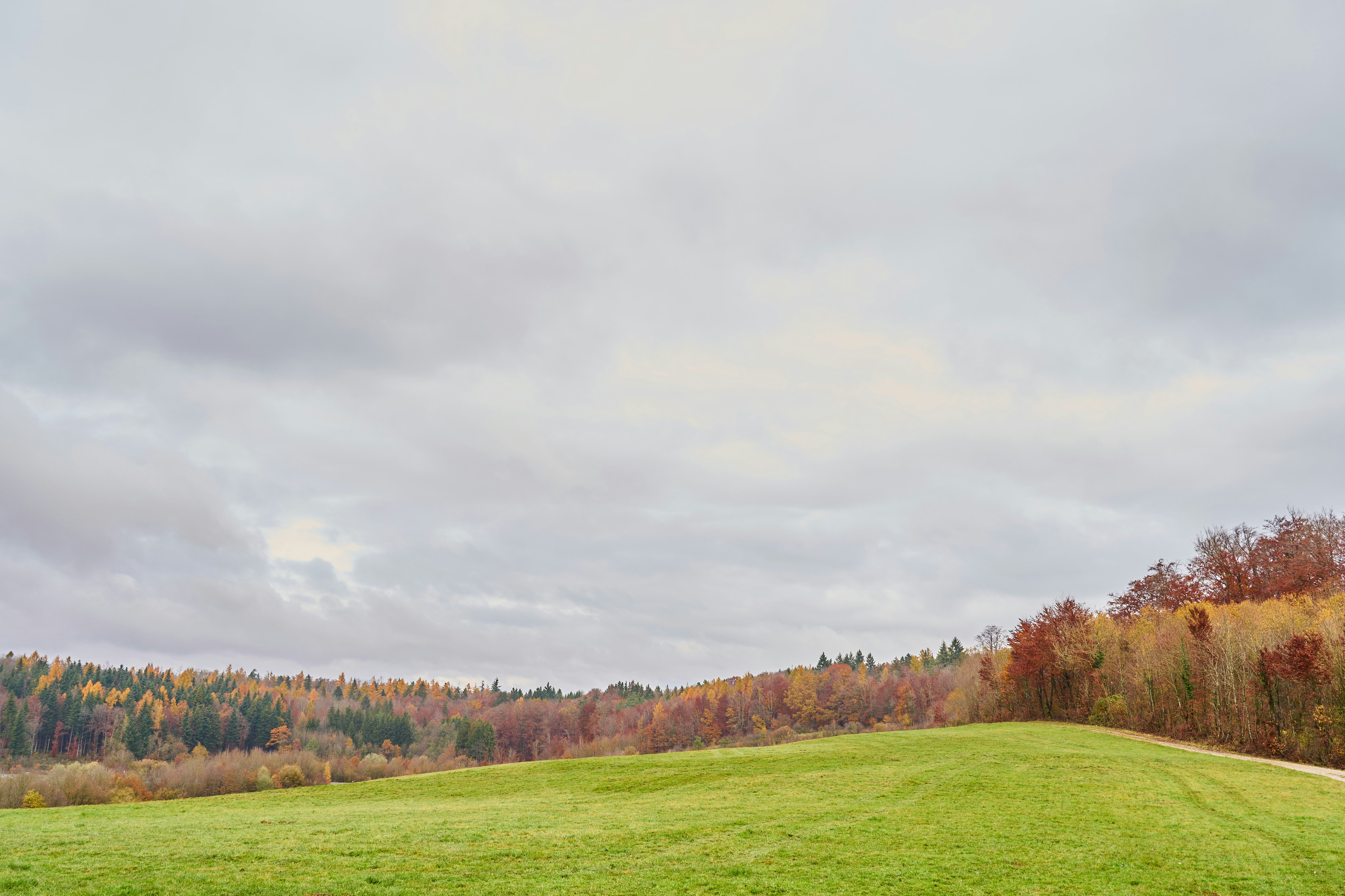 Photo by wolfgang_hasselmann