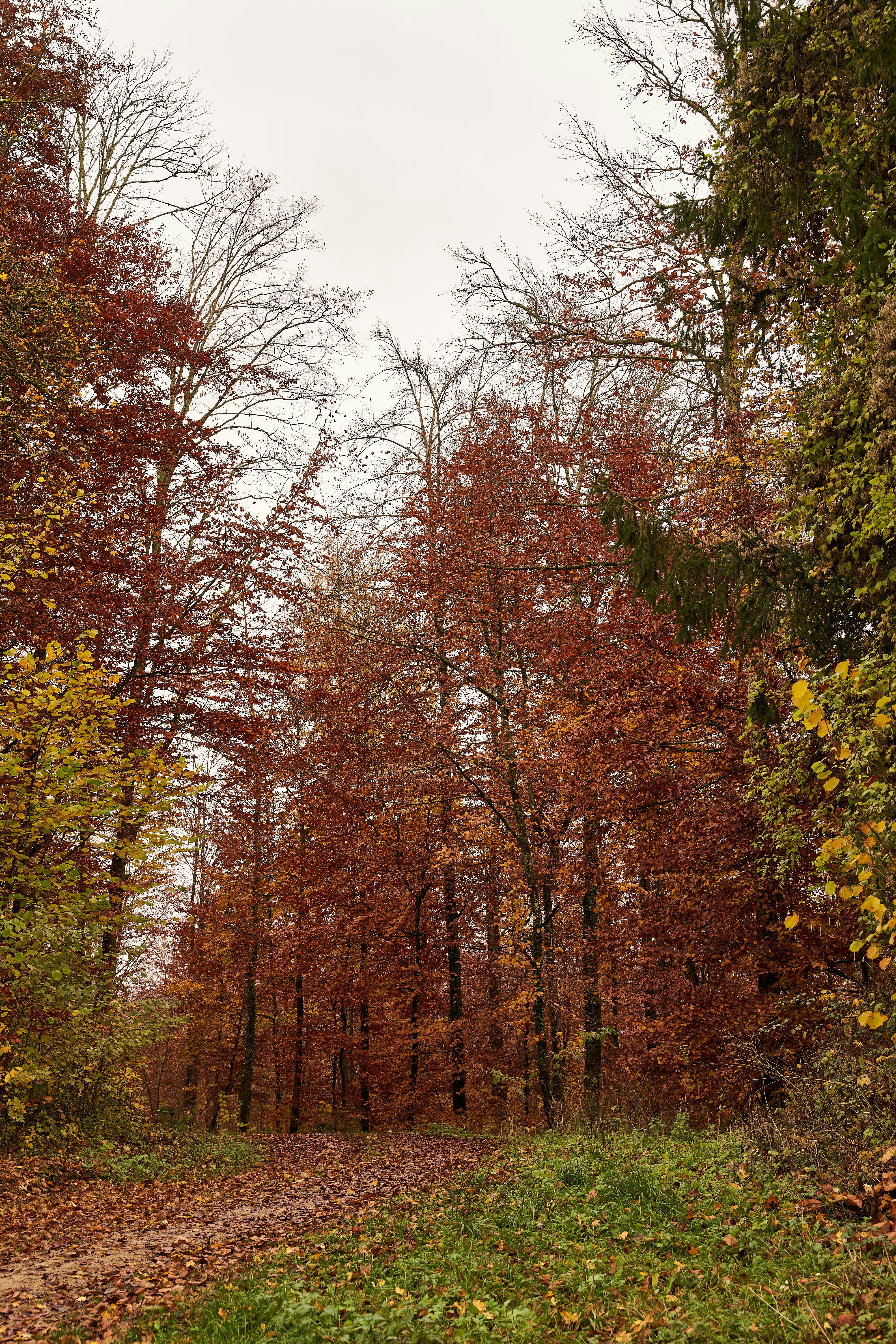 Photo by wolfgang_hasselmann