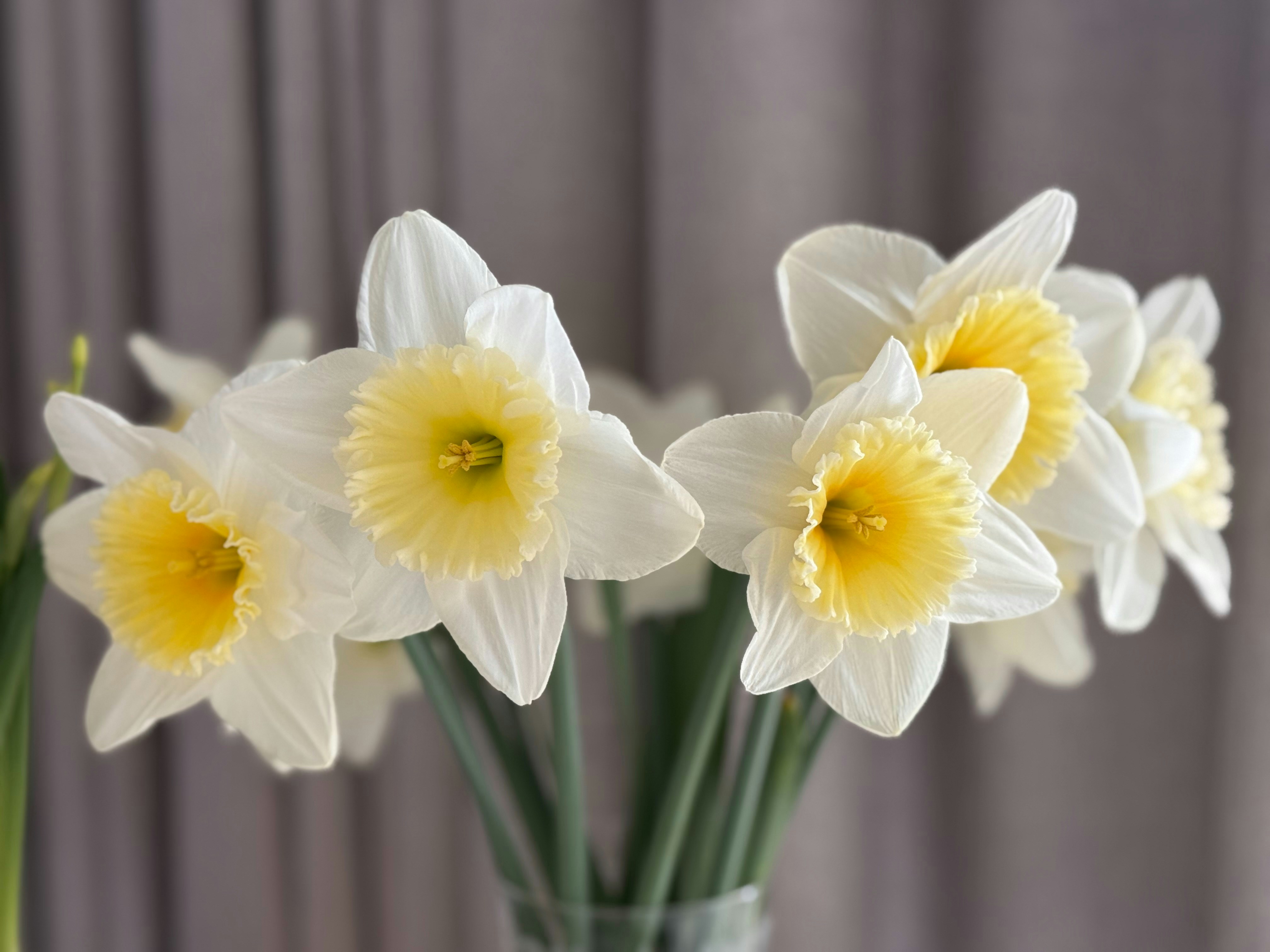 Photo by photosfromhome