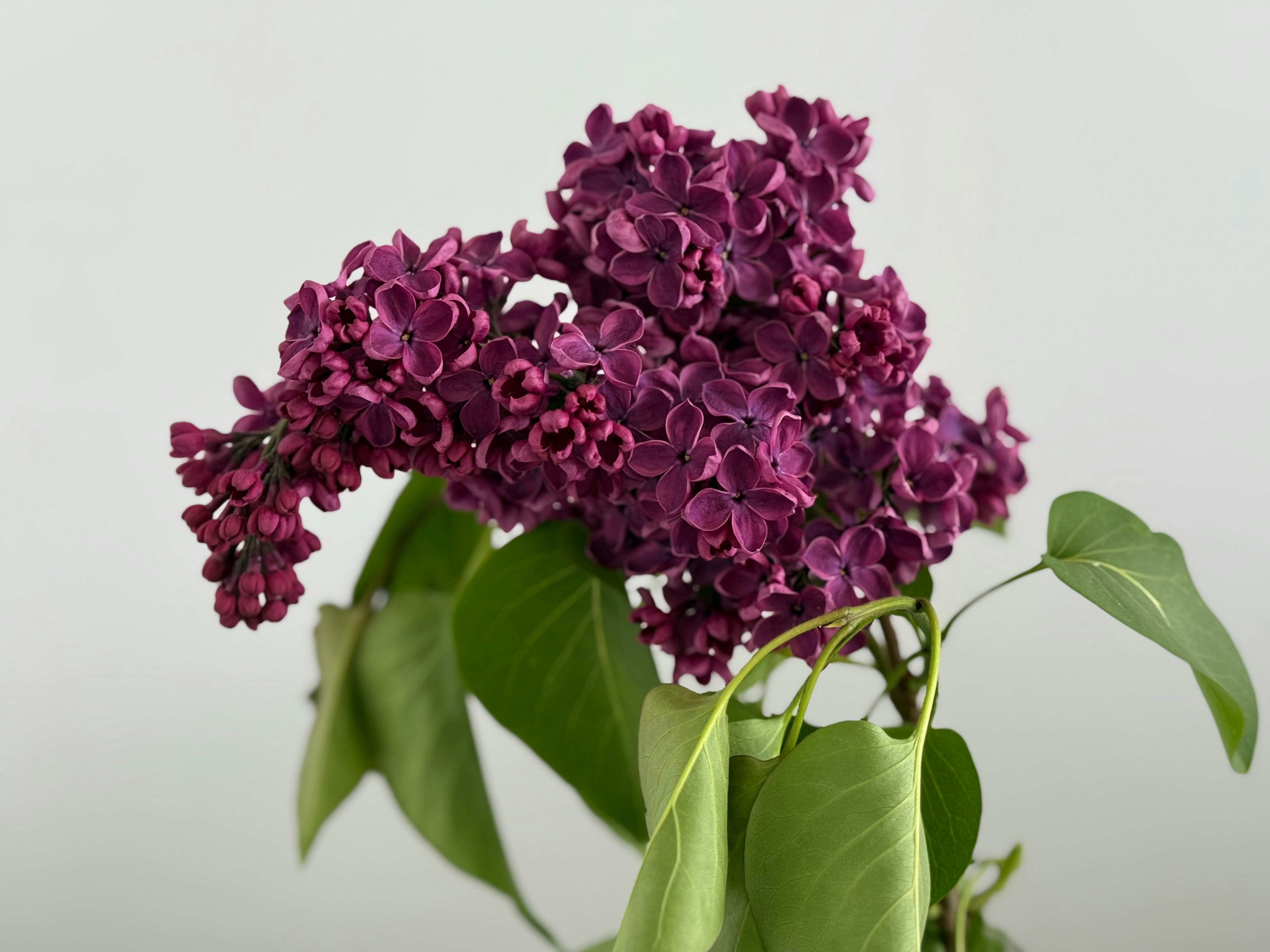 Photo by photosfromhome